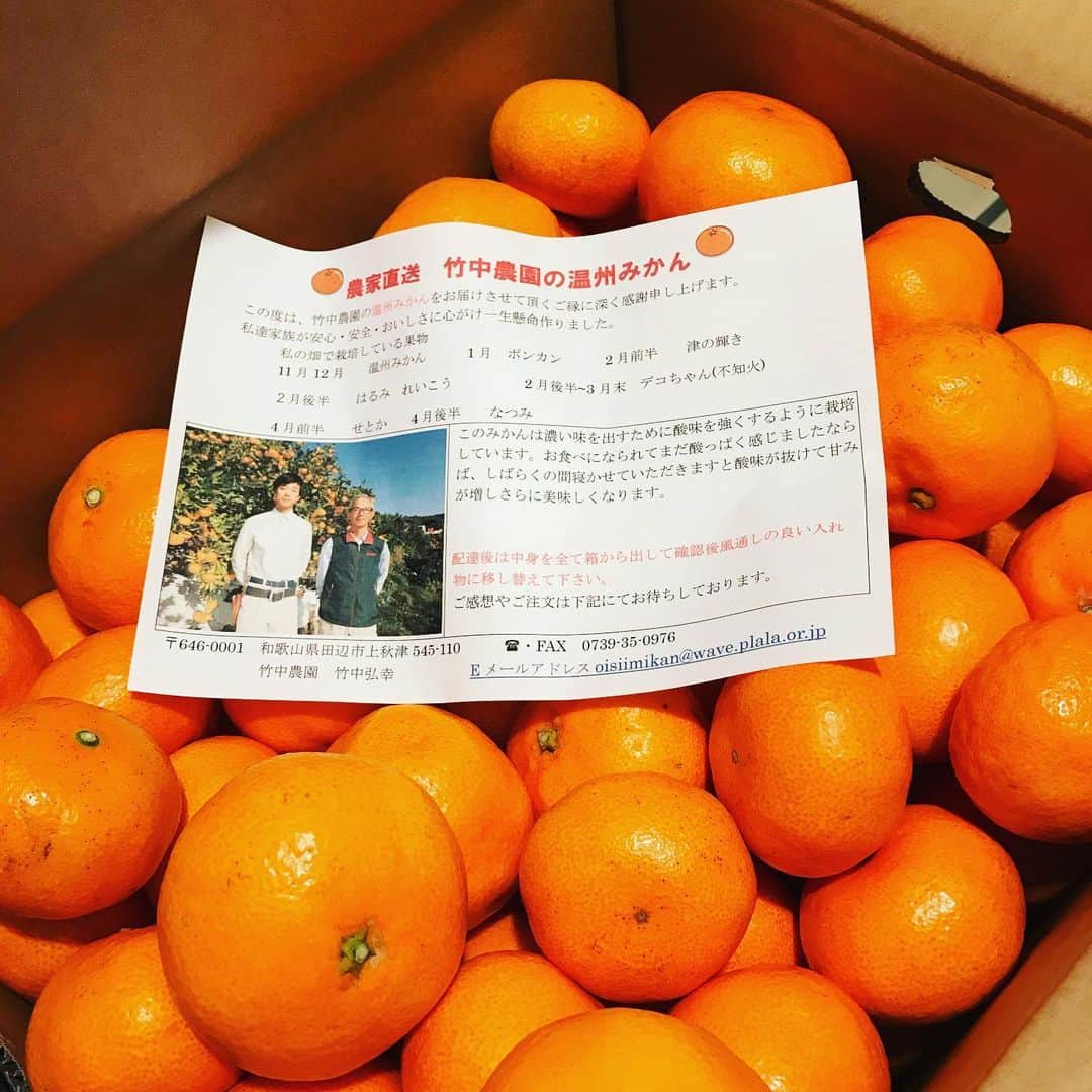 岡まゆみのインスタグラム：「美味しい🍊❣️あまーーーーーい❣️＃和歌山みかん＃あまーーーーーい＃岡まゆみ」