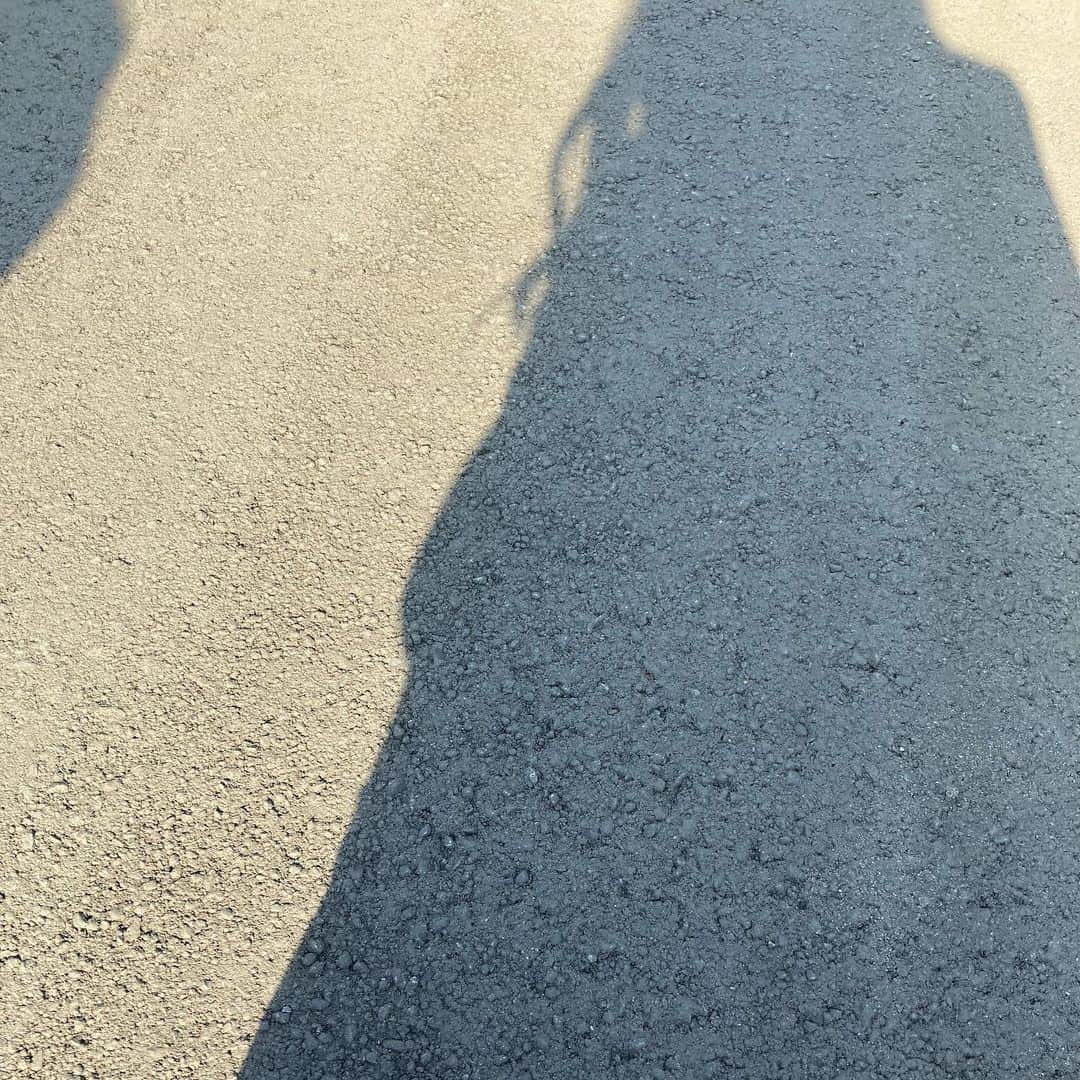 大迫深雪さんのインスタグラム写真 - (大迫深雪Instagram)「休憩中の私の影…日向ぼっこ(^^)」12月15日 18時53分 - m_y_k_888