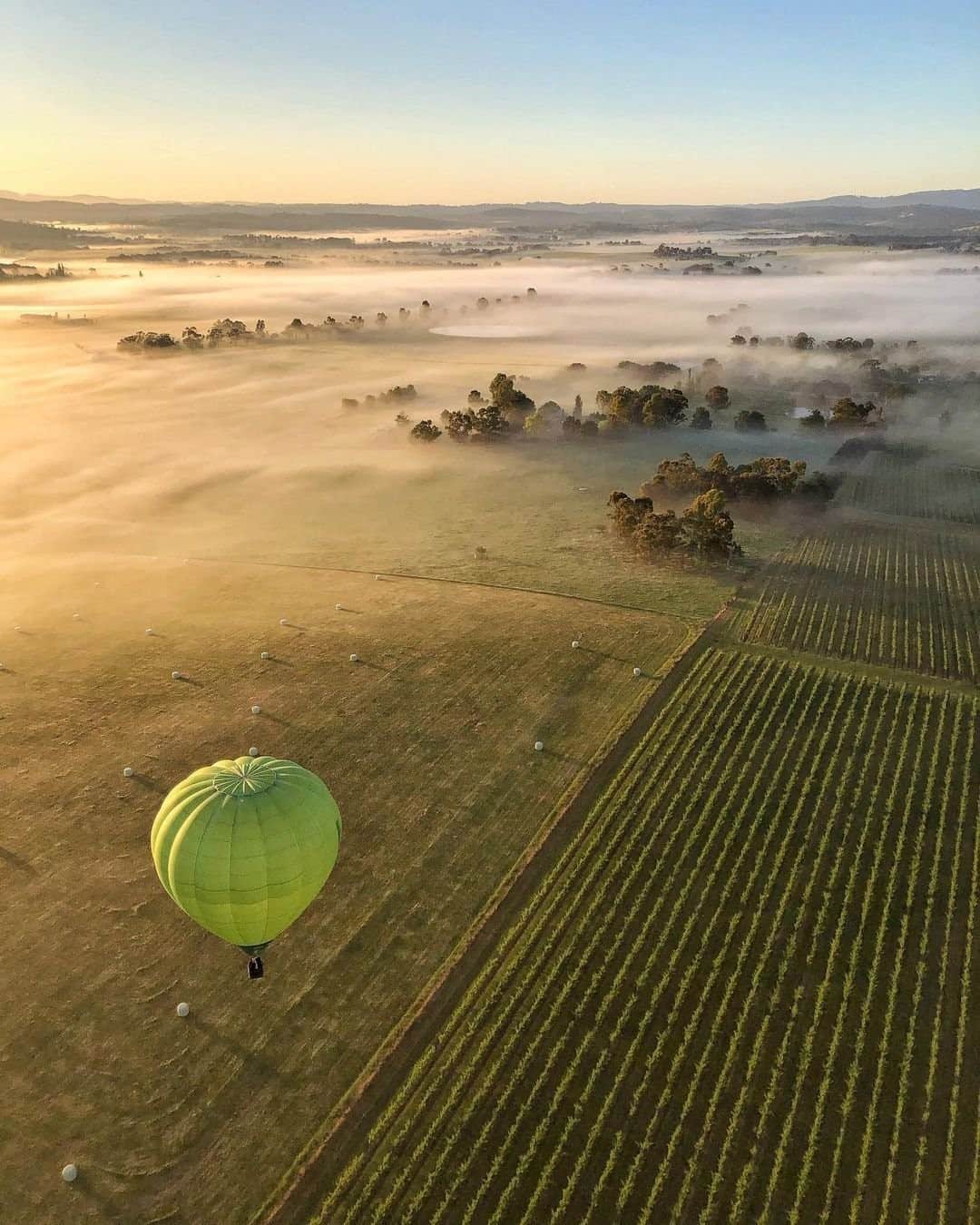 Australiaさんのインスタグラム写真 - (AustraliaInstagram)「Top of the morning to you, @yarravalleydandenongranges!🎈A sunrise @globalballooningaustralia flight, like this one captured by @melbourne.with.me, over breathtaking wine country in #Victoria is an epic way to kick off your day. The bountiful #YarraValley region is only one hours drive from @visitmelbourne, so makes for a great day-trip or weekend away. Once you're done hopping between the vineyards, be sure to stop by @fourpillarsgin distillery, which was recently awarded World's Best Gin Producer at the prestigious International Wine and Spirits Competition for the second consecutive year! We recommend trying their exclusive #BloodyShiraz edition, which is a delicious infusion of gin and #YarraValley grapes 👌 Visit the link in our bio for more things to do in the area. #seeaustralia #visitmelbourne #visitvictoria #holidayherethisyear」12月15日 19時00分 - australia
