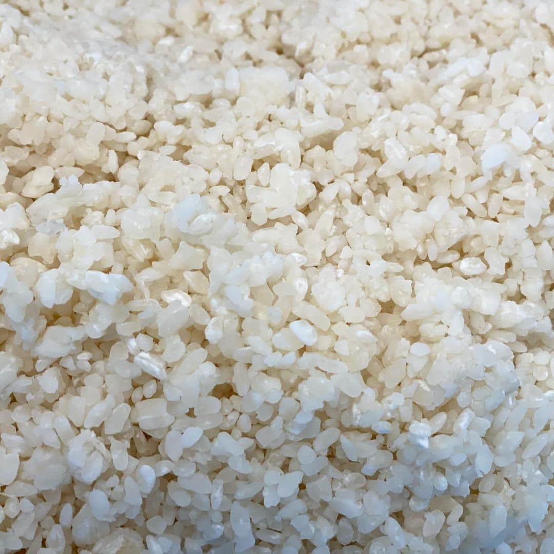 青山有紀さんのインスタグラム写真 - (青山有紀Instagram)「スタッフみんなでお味噌作り。 最高の大豆と麹、お塩が手に入ってすごく嬉しい！ まずは160キロ仕込みましたが、これからもっと作ります。 また３年熟成させる予定。 ふふふ楽しみ〜😍✨　　 #今回は西京味噌も仕込みました」12月15日 19時28分 - yukiaoya