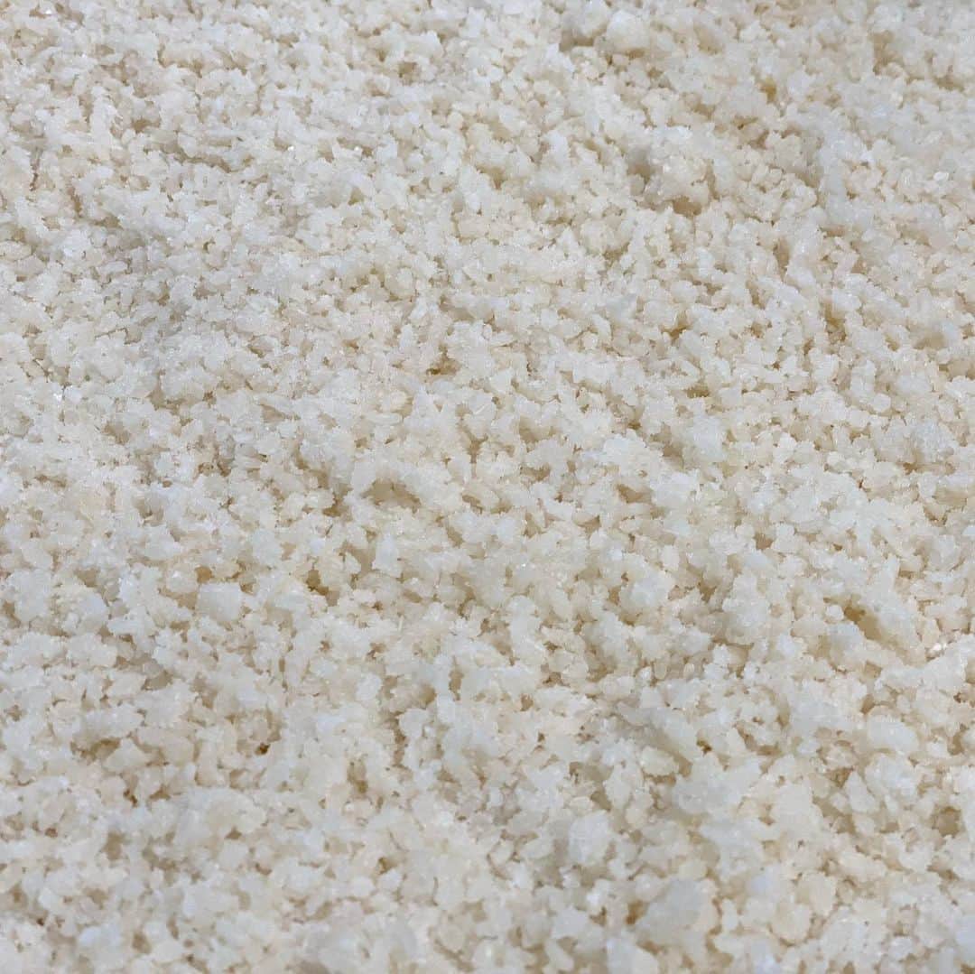 青山有紀さんのインスタグラム写真 - (青山有紀Instagram)「スタッフみんなでお味噌作り。 最高の大豆と麹、お塩が手に入ってすごく嬉しい！ まずは160キロ仕込みましたが、これからもっと作ります。 また３年熟成させる予定。 ふふふ楽しみ〜😍✨　　 #今回は西京味噌も仕込みました」12月15日 19時28分 - yukiaoya