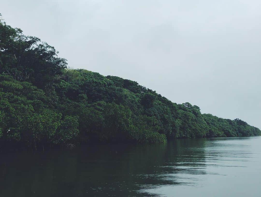 尾形沙耶香さんのインスタグラム写真 - (尾形沙耶香Instagram)「#naturelovers 💚  #kayaking 🛶」12月15日 19時38分 - sayakaogata