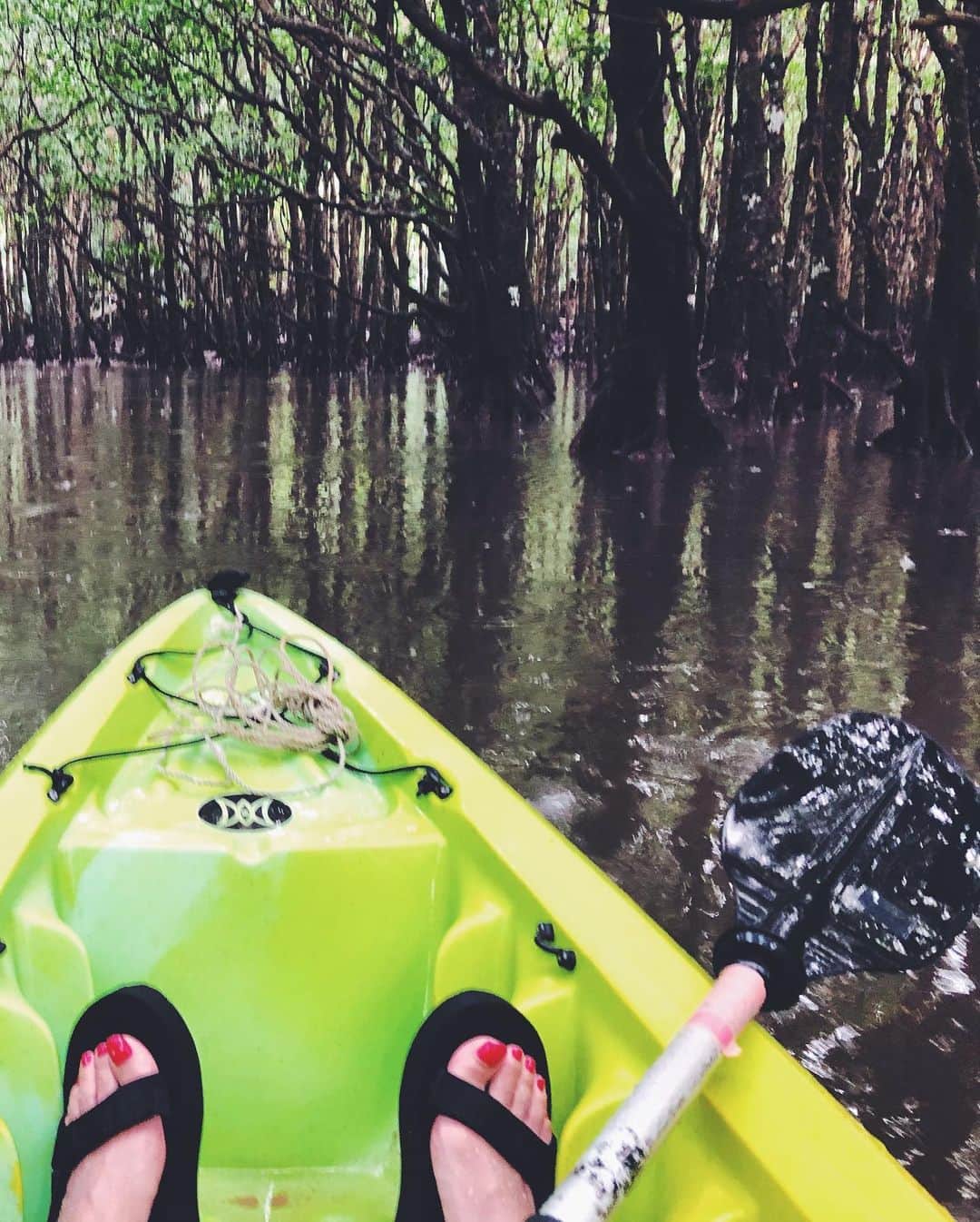 尾形沙耶香さんのインスタグラム写真 - (尾形沙耶香Instagram)「#beautifulnature 💚  #kayaking 🛶」12月15日 19時44分 - sayakaogata