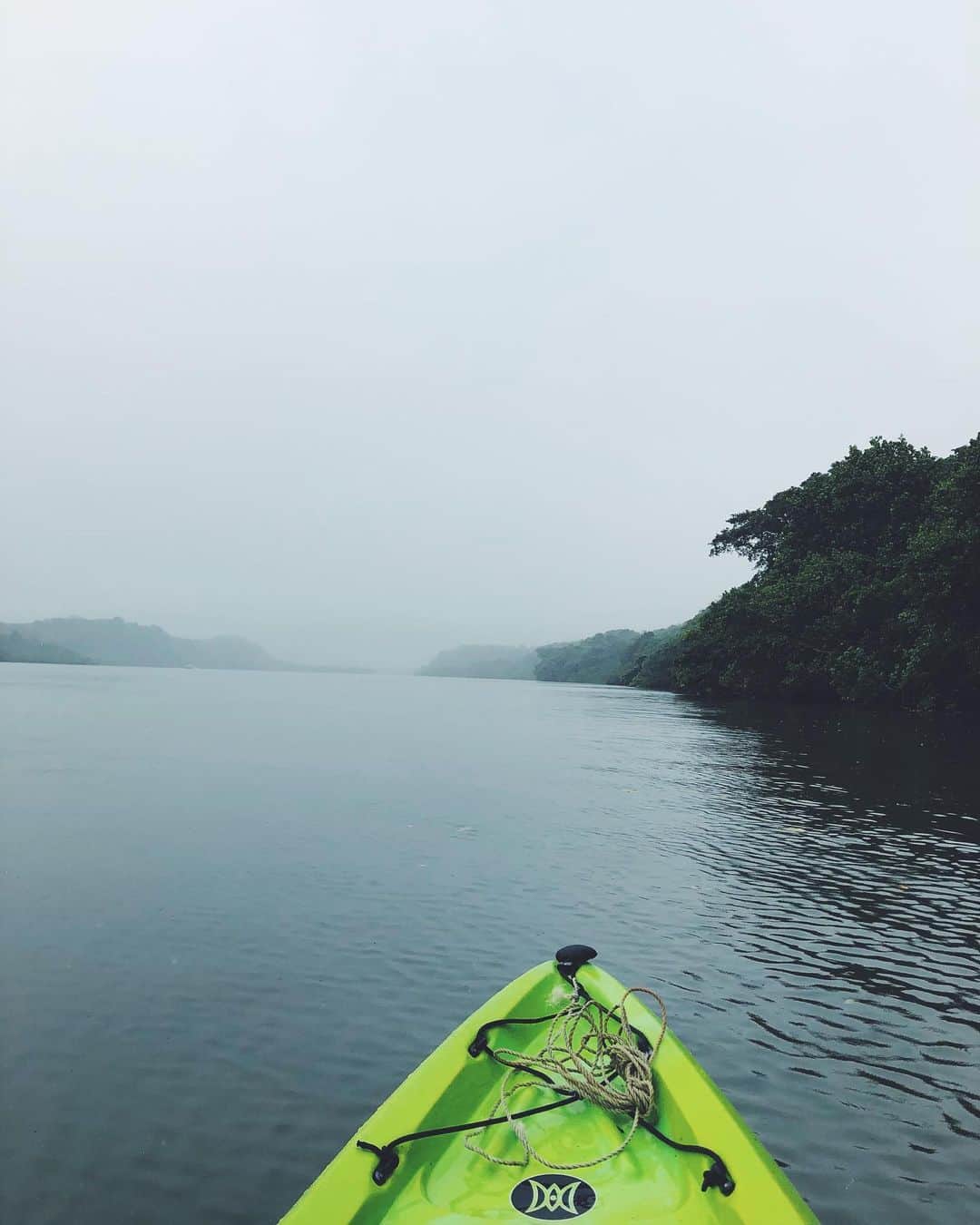 尾形沙耶香さんのインスタグラム写真 - (尾形沙耶香Instagram)「#beautifulnature 💚  #kayaking 🛶」12月15日 19時44分 - sayakaogata