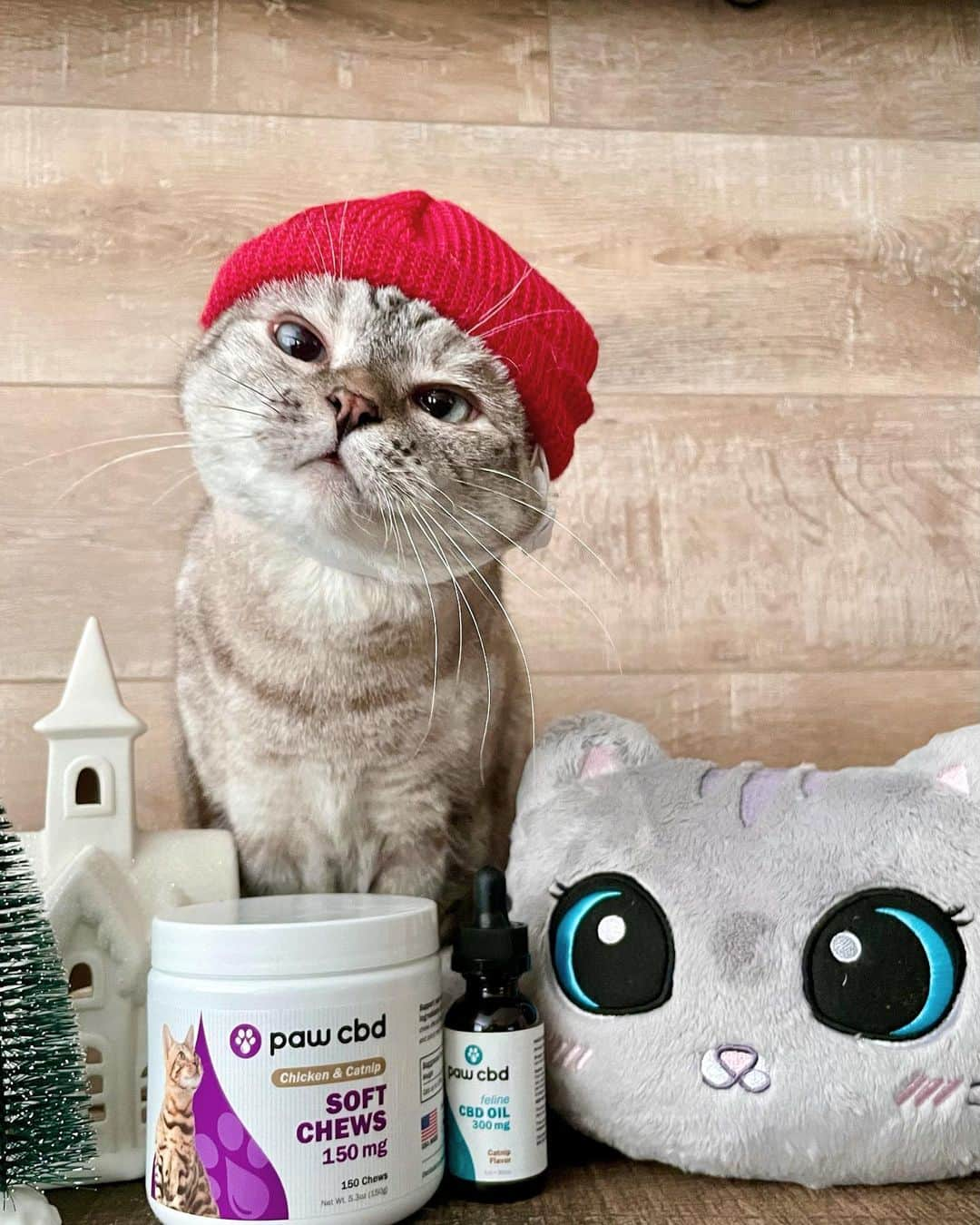 nala_catさんのインスタグラム写真 - (nala_catInstagram)「It’s almost Christmas and we want to celebrate with you! One person will be randomly chosen to win a Nala Cat + Paw CBD + cbdMD gift basket!  Visit link in Bio to enter. Giveaway ends today at 11:59 PST. Enter now!   The gift basket including the following: Nala Cat and White Coffee Cat plushies, Nala Cat hat, Nala Cat canvas tote, Nala Cat toiletry bag, Nala Cat throw, Love Nala feeding mat, 1 case of Love Nala Chicken & Pumpkin Dinner wet cat food (12 cans), 1 case of Love Nala Tuna & Salmon Dinner wet cat food (12 cans) (ARV: $150) A year's supply of Paw CBD soft chews of the winner's choice (12 jars total, may mix and match any CBD chew product, ARV: $299.98 - $779.88, depending on choices) A cbdMD Swag Pro Bundle and Beanie (ARV: $40) #giveaway #cbdmd #pawcbd #ad」12月15日 19時56分 - nala_cat