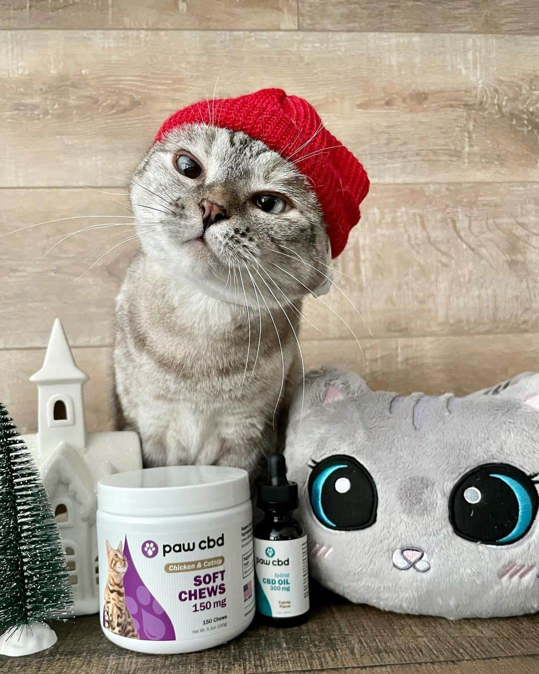 nala_catさんのインスタグラム写真 - (nala_catInstagram)「It’s almost Christmas and we want to celebrate with you! One person will be randomly chosen to win a Nala Cat + Paw CBD + cbdMD gift basket!  Visit link in Bio to enter. Giveaway ends today at 11:59 PST. Enter now!   The gift basket including the following: Nala Cat and White Coffee Cat plushies, Nala Cat hat, Nala Cat canvas tote, Nala Cat toiletry bag, Nala Cat throw, Love Nala feeding mat, 1 case of Love Nala Chicken & Pumpkin Dinner wet cat food (12 cans), 1 case of Love Nala Tuna & Salmon Dinner wet cat food (12 cans) (ARV: $150) A year's supply of Paw CBD soft chews of the winner's choice (12 jars total, may mix and match any CBD chew product, ARV: $299.98 - $779.88, depending on choices) A cbdMD Swag Pro Bundle and Beanie (ARV: $40) #giveaway #cbdmd #pawcbd #ad」12月15日 19時56分 - nala_cat