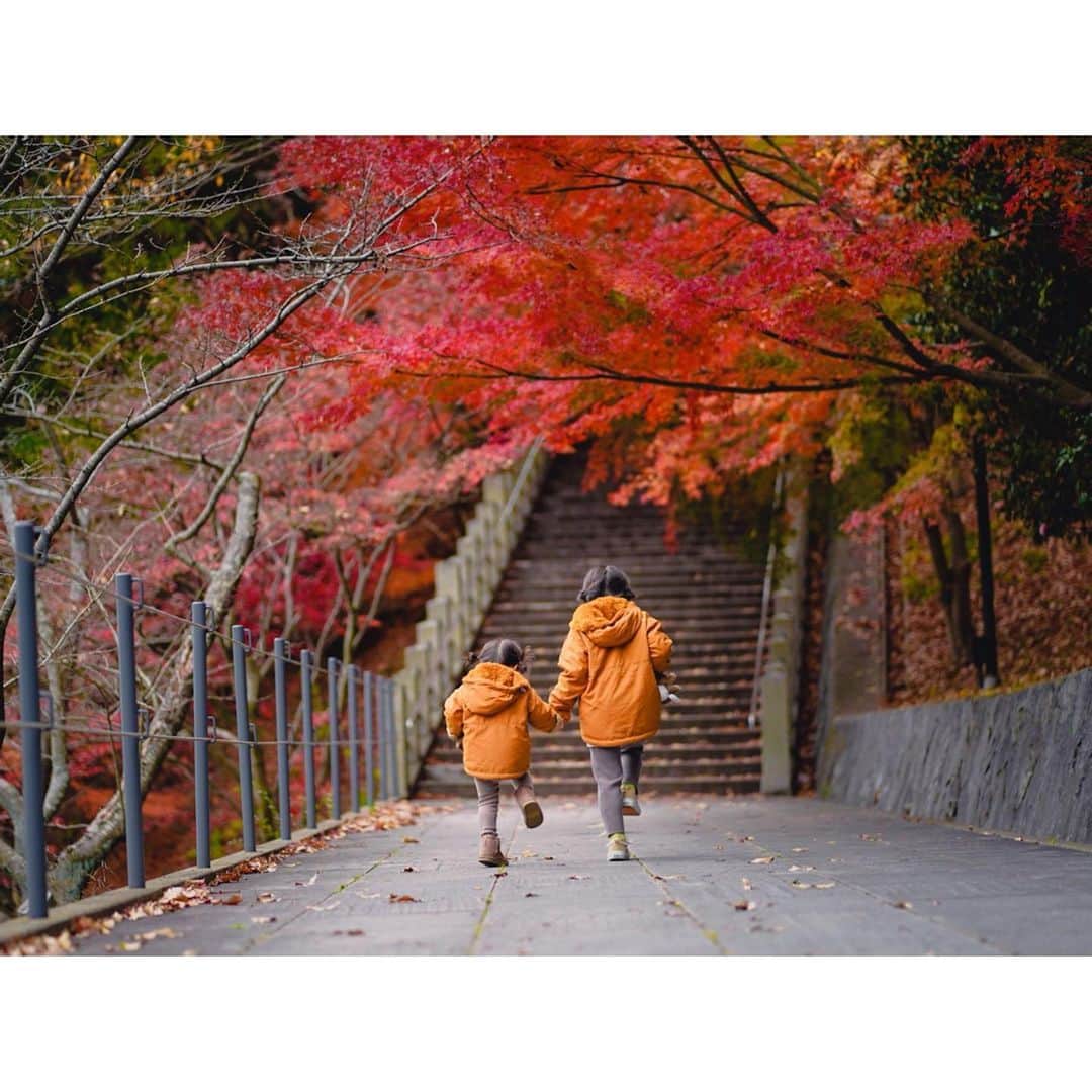 Kyooonのインスタグラム：「2人とも足をあげてる後ろ姿 なんか可愛い☺️  ﻿ ﻿ 昨日からぐっと冷え込んで﻿ 先週までのあたたかさが嘘みたい😣❄️﻿ 寒いのが苦手だ🍃 ﻿ ﻿ 2枚目の通り﻿ 次女は毎日お人形のベビーカーお散歩させてます🚼😂﻿ #姉妹#4歳差姉妹#ママカメラ#sonya7iii#レタッチ練習中#カメラ練習中」