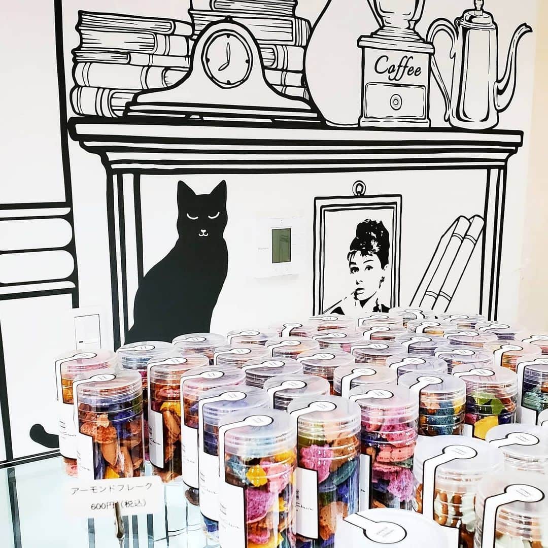 ミスター黒猫（黒猫仙人）さんのインスタグラム写真 - (ミスター黒猫（黒猫仙人）Instagram)「ままままマカロン♪ 【Macaron Cherie】 𖠚ᐝダルゴナコーヒー マカロン 🟤リッチモンブラン 🔵アールグレイ 🟠シューティングスター 🟡ブルーベリーヨーグルト  人気のマカロンカフェ テイクアウトの方も多く訪れてました  2Dアートの店内は韓国風カフェで、ビジュアル美しいマカロンがさらに映えます ビジュアルだけでなく、食べても美味しいマカロンに大満足にゃー😸. . . 🚶東京都葛飾区新小岩2-5-14 2F 新小岩駅から徒歩約5分 営業日、営業時間などはお店のSNSを @macaroncherie  #黒猫食べ過ぎ #マカロン #macaron #トゥンカロン #韓国マカロン #韓国風カフェ #마카롱 #マカロンシェリー #macaroncherie」12月15日 20時24分 - mr_kuroneko