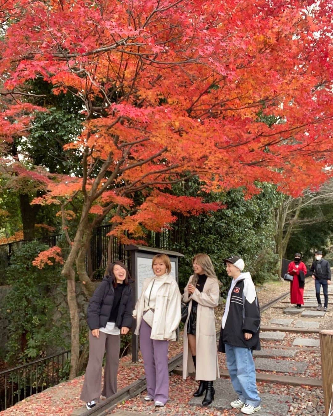 EON（梶野恵園）のインスタグラム：「﻿ ﻿ ﻿ いつかの蹴上インクライン﻿ ﻿ ﻿ 桜の時期しか行ったことなくて﻿ 紅葉シーズン初やったけど﻿ 良すぎてめちゃくちゃ癒された☺️﻿ ﻿ ﻿ 自然ってなんでこんな最高なん🍁﻿ ﻿ ﻿ ﻿ #京都 #京都観光 #京都紅葉 #京都旅 ﻿ #京都巡り #京都好き #蹴上インクライン﻿ #蹴上インクライン🛤 #紅葉 #紅葉🍁 ﻿ #紅葉スポット #紅葉2020 ﻿ #友達大好き #中学からの仲 #大事な友達晒し」