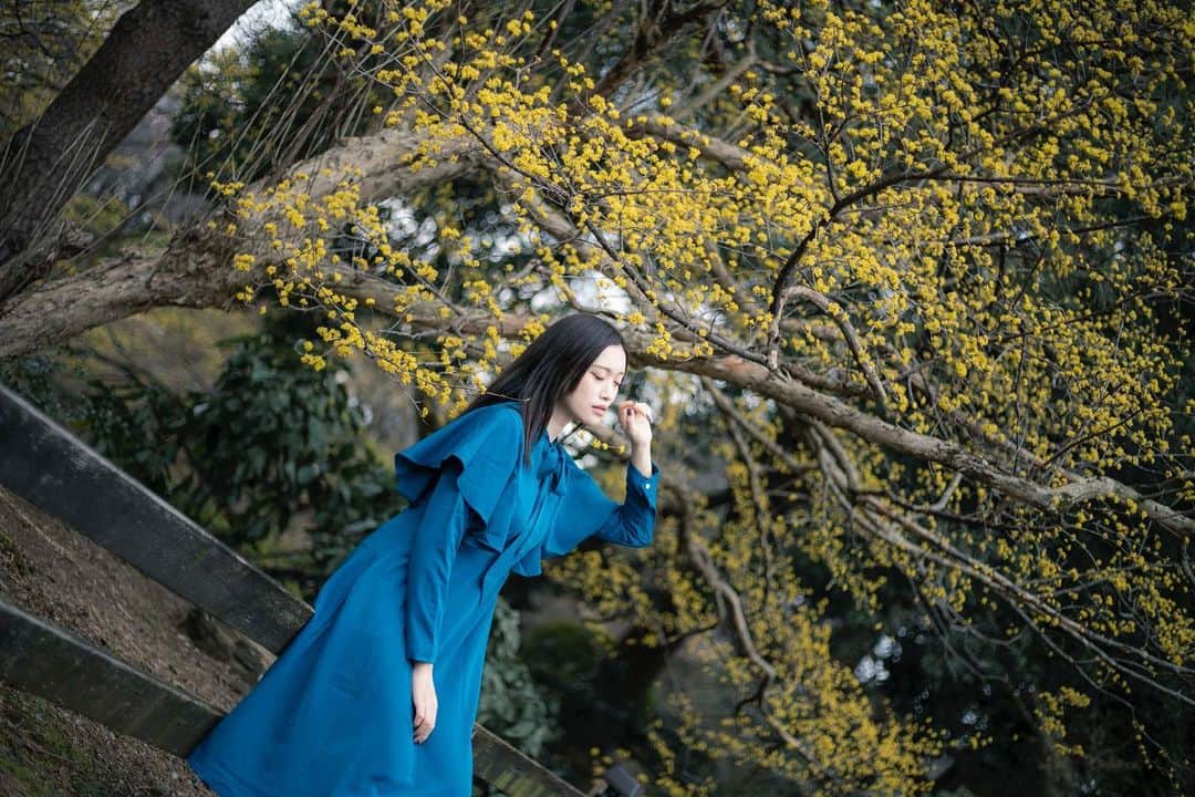上原りゆきのインスタグラム：「📸」