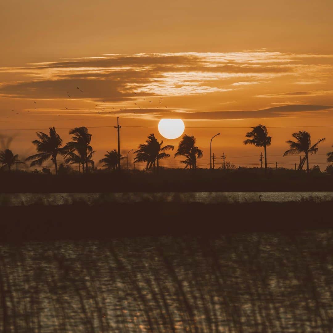 のインスタグラム：「#夕陽﻿ ﻿﻿ ﻿ #SonyAlpha #SonyA7C #SEL70200G﻿ @sonytaiwan ﻿ @sonyalpha﻿ ﻿」