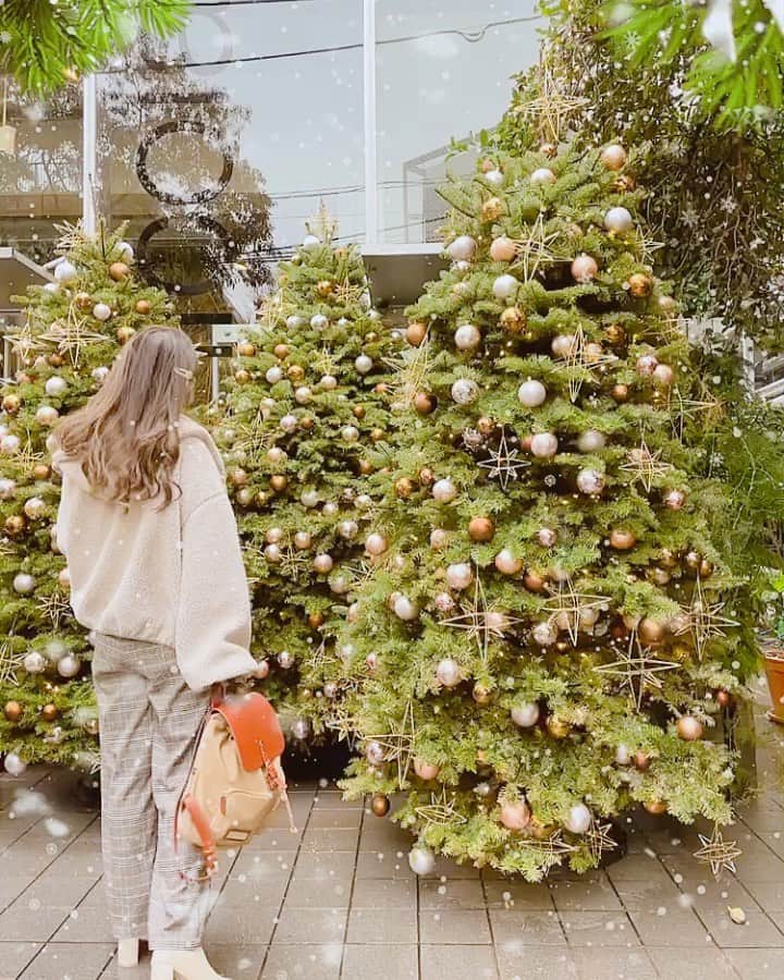 のインスタグラム：「#cafestagram  ﻿ いつの季節にいっても﻿ きゅんとさせてくれるカフェ﻿ Nicolai Bergmann NOMU🎄✨﻿ ﻿ 期間限定のココアがびっくりするおいしさ😍﻿ さすがのニコライ様✨﻿ 本当はラムのアルコール入り？なんだっけな💡﻿ 私はノンアルで作ってもらいました✌️﻿ ﻿ ﻿ ﻿ 📍 Nicolai Bergmann NOMU﻿ ・住所/東京都港区南青山5-7-2 1F﻿ ・営業時間/ 11:00～19:00（ラストオーダー 18:30）﻿ ・アクセス/東京メトロ銀座線・千代田線・半蔵門線【表参道駅】改札口　徒歩４分﻿ ※地下通路Ｂ３地上口　徒歩２分﻿ ﻿ 📍 Nicolai Bergmann NOMU﻿ ・Open Hours/11:00a.m.～7:00p.m.﻿ ・Close station/Omotesando station﻿ ﻿ ﻿ ＊変更等の可能性ありますので﻿ 事前に店舗にご確認下さい﻿ ﻿ ﻿ #nicolaibergmannnomu #ニコライバーグマンカフェ #表参道カフェ#表参道ランチ#東京カフェめぐり #xmastree #cafelog_mg」
