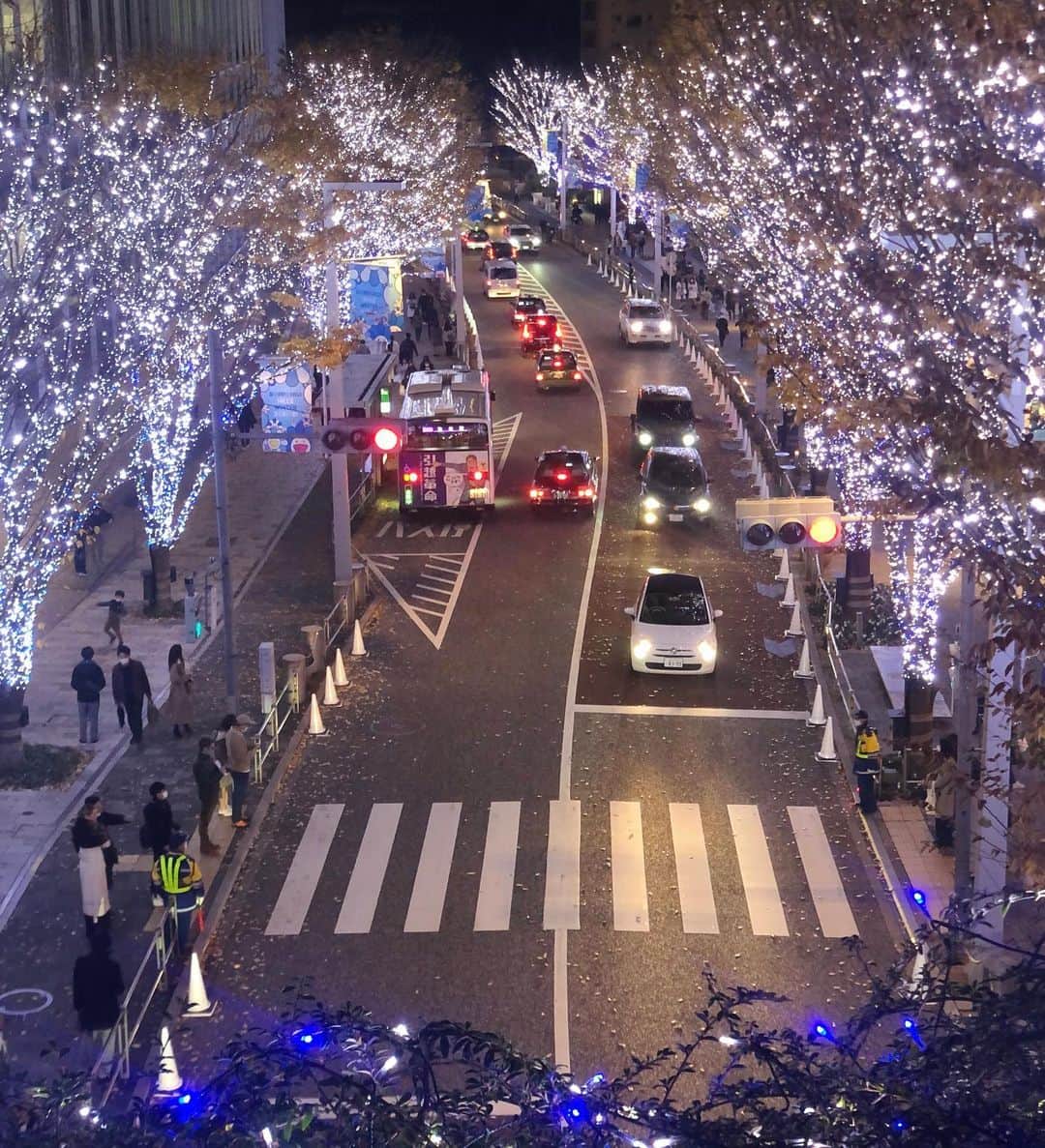 梶愛海のインスタグラム：「Children, lovers and families under silver blue sparkles on that Cold December Night ❄️✨  #december #christmas #lights #christmaslights」