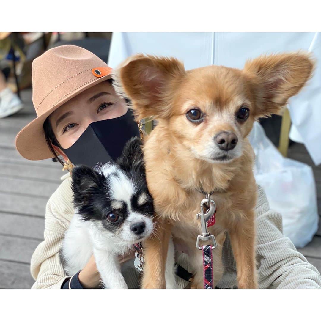 太田彩乃のインスタグラム：「実家のわんこ達と戯れ時間🧡 いつかの暖かかった日🍁 . . #まだ季節は秋だった #実家のわんこ #公園散歩」