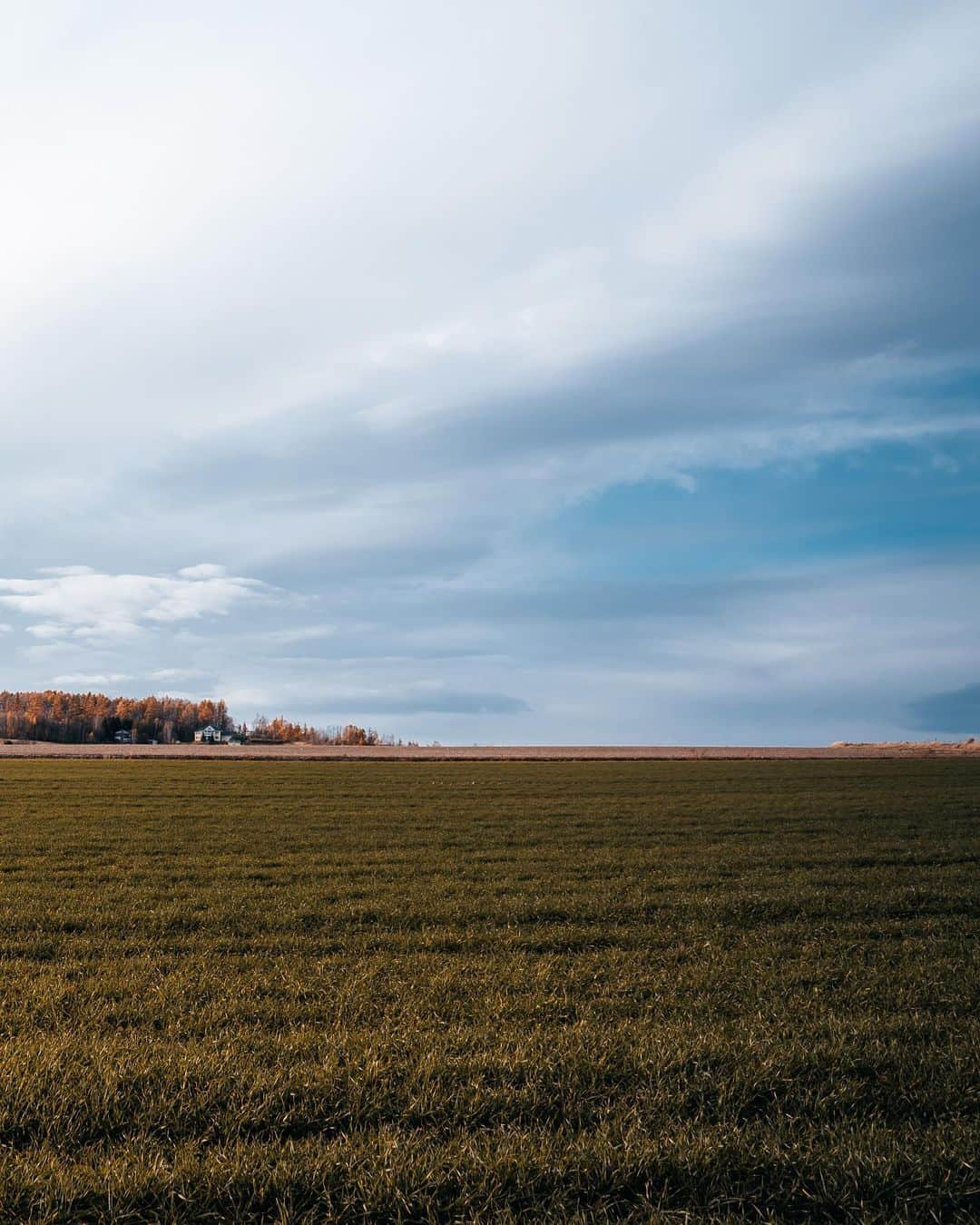 _msy_tさんのインスタグラム写真 - (_msy_tInstagram)「The great view of the sky and field captivated me for a while. . 思わず車を停めてしばらく見入ってしまった、空と畑の雄大な景色🌅 . . Location: Kamifurano, Hokkaido . . #visitjapanjp #sorakataphoto #tokyocameraclub #retrip_nippon #art_of_japan_ #daily_photo_jpn #wu_japan #japan_daytime_view #rakutentravel #jalan_travel #lovers_nippon #bestjapanpics  #whim_life #special_spot_ #loves_united_japan #japan_art_photography #Nipponpic #lovers_amazing_group #japantravelphoto #otonatabi_japan #total_nature_japan #dare_sora #photo_travelers #HarumiWharf #広がり同盟  #東京カメラ部 #風景写真 #風景写真部 #北海道」12月15日 21時46分 - masaya_takigawa