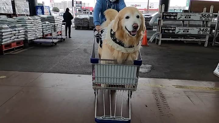 まゆみのインスタグラム