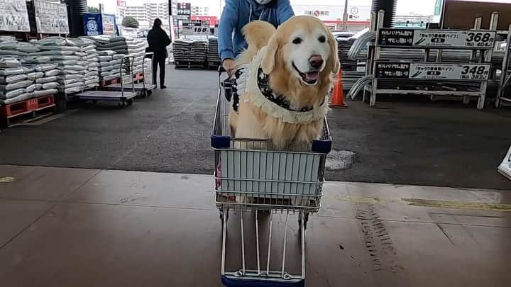 まゆみのインスタグラム