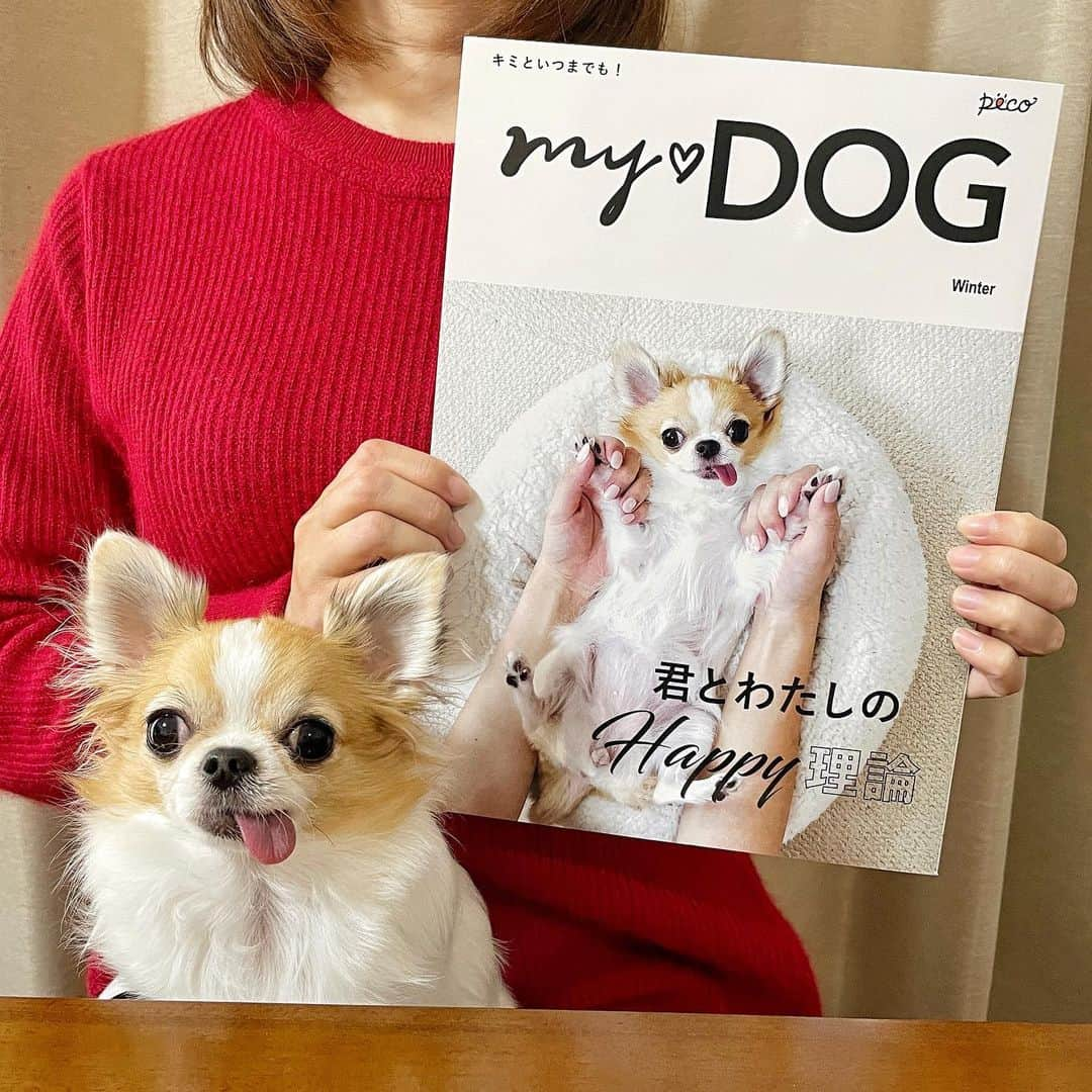 ちまのインスタグラム：「🐶📖💕 ・ PECO MY♡DOG (@pecomydog_official )の「ウチの子表紙ver」が届きました😊✨ ・ #ちま #チワワ #chihuahua #ชิวาวา #PECOいぬ部 #WeeklyFluff #dogs #dogsofbark #chihuahuaaddict #pecomydog #pecomydog世界にひとつだけのうちのコ表紙」