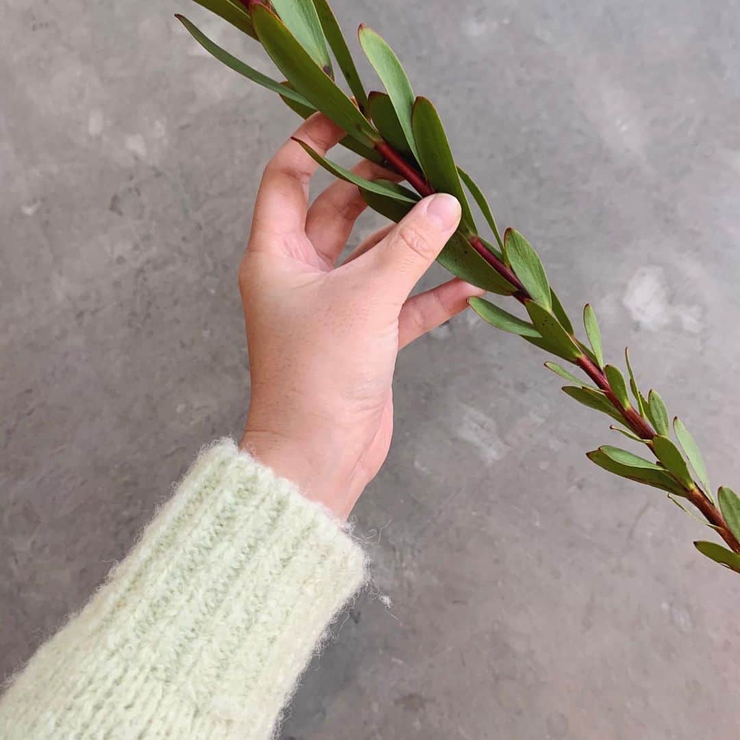古屋美咲さんのインスタグラム写真 - (古屋美咲Instagram)「中心が可愛い花🌲﻿ ﻿ デニムは @el_jeanasis  .stにて先行予約中です」12月15日 22時08分 - furuyamisaki_