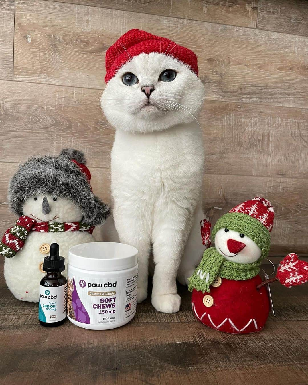 ミスター・ホワイトさんのインスタグラム写真 - (ミスター・ホワイトInstagram)「It’s almost Christmas and we want to celebrate with you! One person will be randomly chosen to win a Nala Cat + Paw CBD + cbdMD gift basket!  Visit link in Bio to enter. Giveaway ends today at 11:59 PST. Enter now!   The gift basket including the following: * Nala Cat and White Coffee Cat plushies, Nala Cat hat, Nala Cat canvas tote, Nala Cat toiletry bag, Nala Cat throw, Love Nala feeding mat, 1 case of Love Nala Chicken & Pumpkin Dinner wet cat food (12 cans), 1 case of Love Nala Tuna & Salmon Dinner wet cat food (12 cans) (ARV: $150) * A year's supply of Paw CBD soft chews of the winner's choice (12 jars total, may mix and match any CBD chew product, ARV: $299.98 - $779.88, depending on choices) * A cbdMD Swag Pro Bundle and Beanie (ARV: $40) #giveaway #cbdmd #pawcbd #ad」12月15日 22時27分 - white_coffee_cat