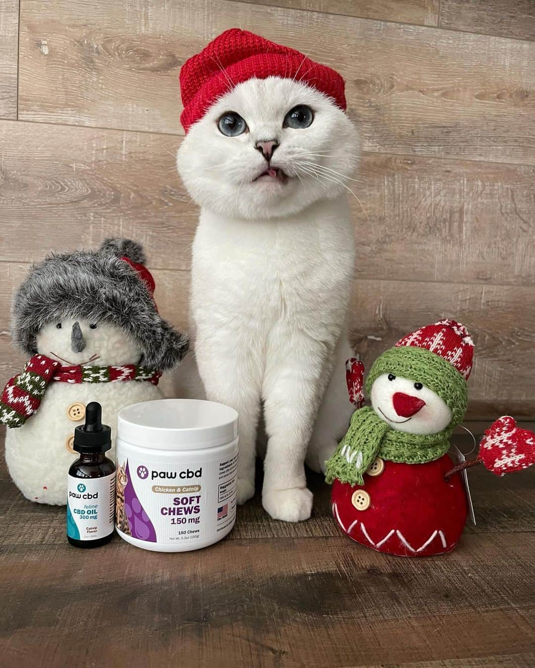 ミスター・ホワイトさんのインスタグラム写真 - (ミスター・ホワイトInstagram)「It’s almost Christmas and we want to celebrate with you! One person will be randomly chosen to win a Nala Cat + Paw CBD + cbdMD gift basket!  Visit link in Bio to enter. Giveaway ends today at 11:59 PST. Enter now!   The gift basket including the following: * Nala Cat and White Coffee Cat plushies, Nala Cat hat, Nala Cat canvas tote, Nala Cat toiletry bag, Nala Cat throw, Love Nala feeding mat, 1 case of Love Nala Chicken & Pumpkin Dinner wet cat food (12 cans), 1 case of Love Nala Tuna & Salmon Dinner wet cat food (12 cans) (ARV: $150) * A year's supply of Paw CBD soft chews of the winner's choice (12 jars total, may mix and match any CBD chew product, ARV: $299.98 - $779.88, depending on choices) * A cbdMD Swag Pro Bundle and Beanie (ARV: $40) #giveaway #cbdmd #pawcbd #ad」12月15日 22時27分 - white_coffee_cat