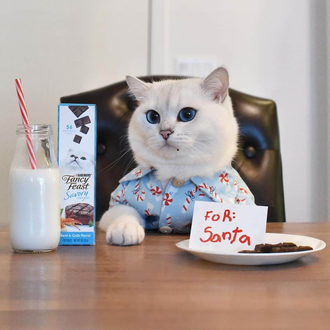 コビーさんのインスタグラム写真 - (コビーInstagram)「Tip: If you have a kitty, don’t leave Fancy Feast Savory Cravings out for Santa—unless you want him to snack on an empty plate. @FancyFeastCatFood #MyFancyCat #ad」12月15日 22時42分 - cobythecat