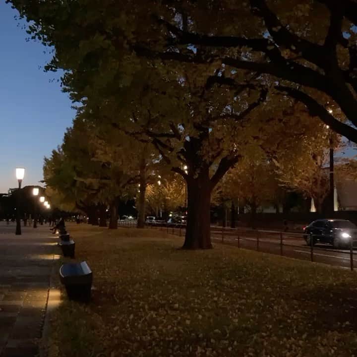 小林ようのインスタグラム：「おやすみなさい🍂 . #goodnight #december #tokyo  #잘자요 #도쿄 #おやすみ #東京」