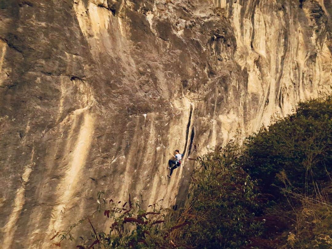 カロリーネ・ジンフーバーのインスタグラム：「fighting against numb fingers today 🧤😖 ‚Kaa‘ 🐍 8b at the ‚Dschungl‘ ✅ #boulderingonarope  . @frictionlabs @scarpa_at @natureclimbing @organicclimbing @belmezattitude @sosolid_official  . . . . . #climbing #klettern #climb #tirol #innsbruck #austria #österreich #nature #noplacetoofar #frictionlabs #chalkmatters #climbinggirls #climbing_is_my_passion #climbing_pictures_of_instagram #climber」