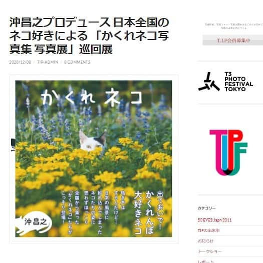 Masayukiさんのインスタグラム写真 - (MasayukiInstagram)「【明日から開催！】 「かくれネコ写真集 写真展」12月16日より 東京 京橋72Galleryにて開催します。（予約制）  立場上 ご来場いただきたいのはやまやまなのですが、 この時期なので 本当に無理せずにで。 早く コロナが落ち着き こころ平穏で外出し楽しめることができますように。   日本全国のネコ好きによる写真集「かくれネコ」が2020年に発刊。その写真集から抜粋したネコ写真 60点を展示します。45名のネコ好きによる写真と15点の沖昌之さんの写真からなる、どうしてこうなるの？感が満載の愛くるしいネコ写真をお楽しみください。当展示は大阪開催の展示の巡回となります。  ※　同時に沖昌之さんの最新カレンダー4冊から60枚の写真の展示と過去の作品50枚も展示いたします。  ご予約いただいた時間帯は在廊する予定です。 2021年のカレンダーも販売いたしますし書籍も販売いたします。 サインもお入れいたしますので 気をつけながら楽しんでいただけるとうれしいです。 そうそう、来春発売の傘のサンプルも見れるよ！  開催概要  開催日：2020年12月16日（水）～27日（日）※ 月曜・火曜 休廊  時間：12:00-19:00 ※ 最終日 17:00まで  会場：72Gallery  入場料：200円（税込）  ※ 尚、今回は新型コロナウィルス対策の為、完全予約制とさせていただきます。  #かくれネコ #72gallery」12月15日 23時13分 - okirakuoki