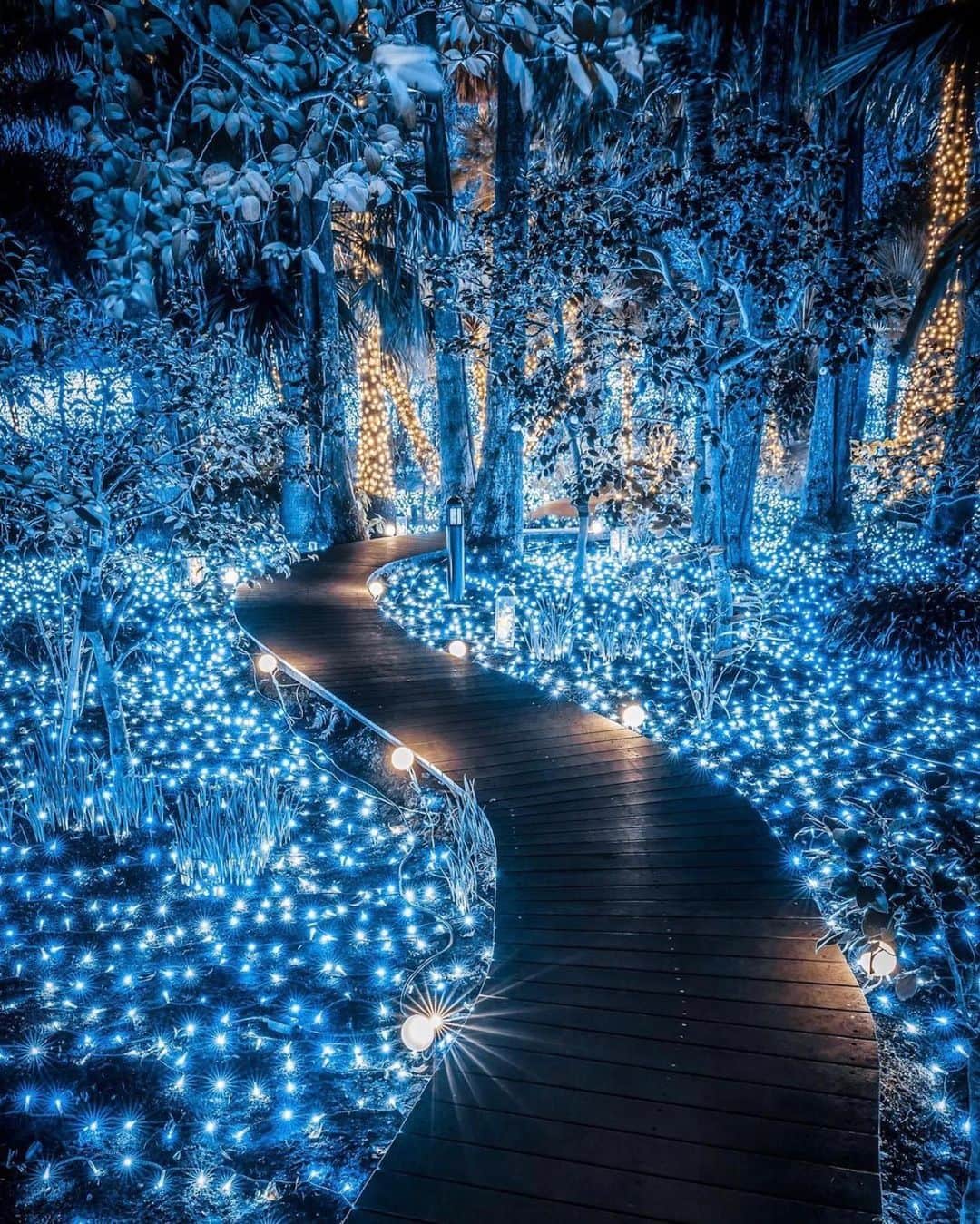 bestvacationsのインスタグラム：「Path to a Winter Wonderland! Fairy road in Japan 🇯🇵 By @jungraphy_ #BestVacations」