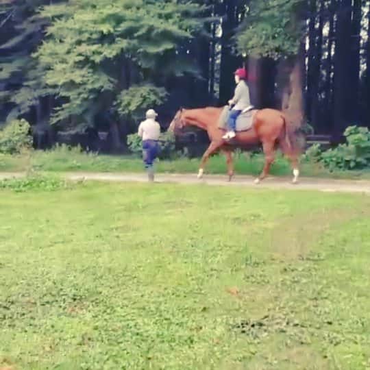 近藤笑菜のインスタグラム：「いつぞやの、牧場での癒し🐴📸 馬って賢いから乗るときいつもドキドキするけど、もはや全部委ねます！くらいな気持ちになるよね。 人に委ね、譲れないところは譲らず、バランスを探りながらぽつぽつとやってこー☕ #馬」