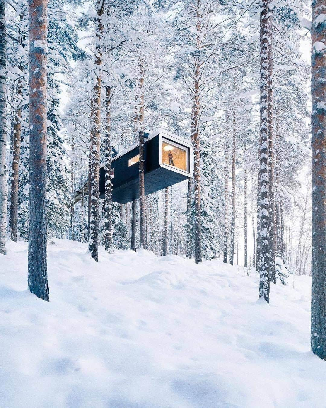 Discover Earthさんのインスタグラム写真 - (Discover EarthInstagram)「For anyone who ever wanted a treehouse as a kid, or always liked camping these places look amazing, don't you think? Where are you spending these winter holidays?  1. Harads, Sweden: @oskarbakke  2. Montana, USA: @michaelmatti  3. Georgetown, Maine: @kylefinndempsey  4. Lapland, Finland: @joonaslinkola  5.Rovaniemi, Finland: @meirr   ❄️ #discoverearth  . . . . .    #snow  #winter  #snowboard  #ski  #snowboarding  #skiing  #cold  #ice  #powder  #snowing  #snowflakes  #christmas  #mountain  #snowfall  #winteriscoming  #treehouse  #naturelovers  #autumn  #travelgram  #wanderlust  #wood  #instagood  #house」12月16日 1時00分 - discoverearth