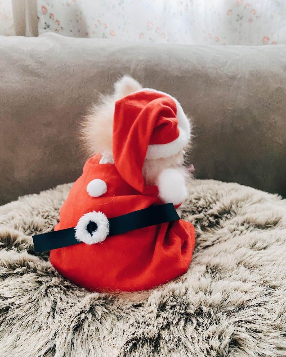 r_oseのインスタグラム：「Christmas collection!!🎅🏼🎄〰️」