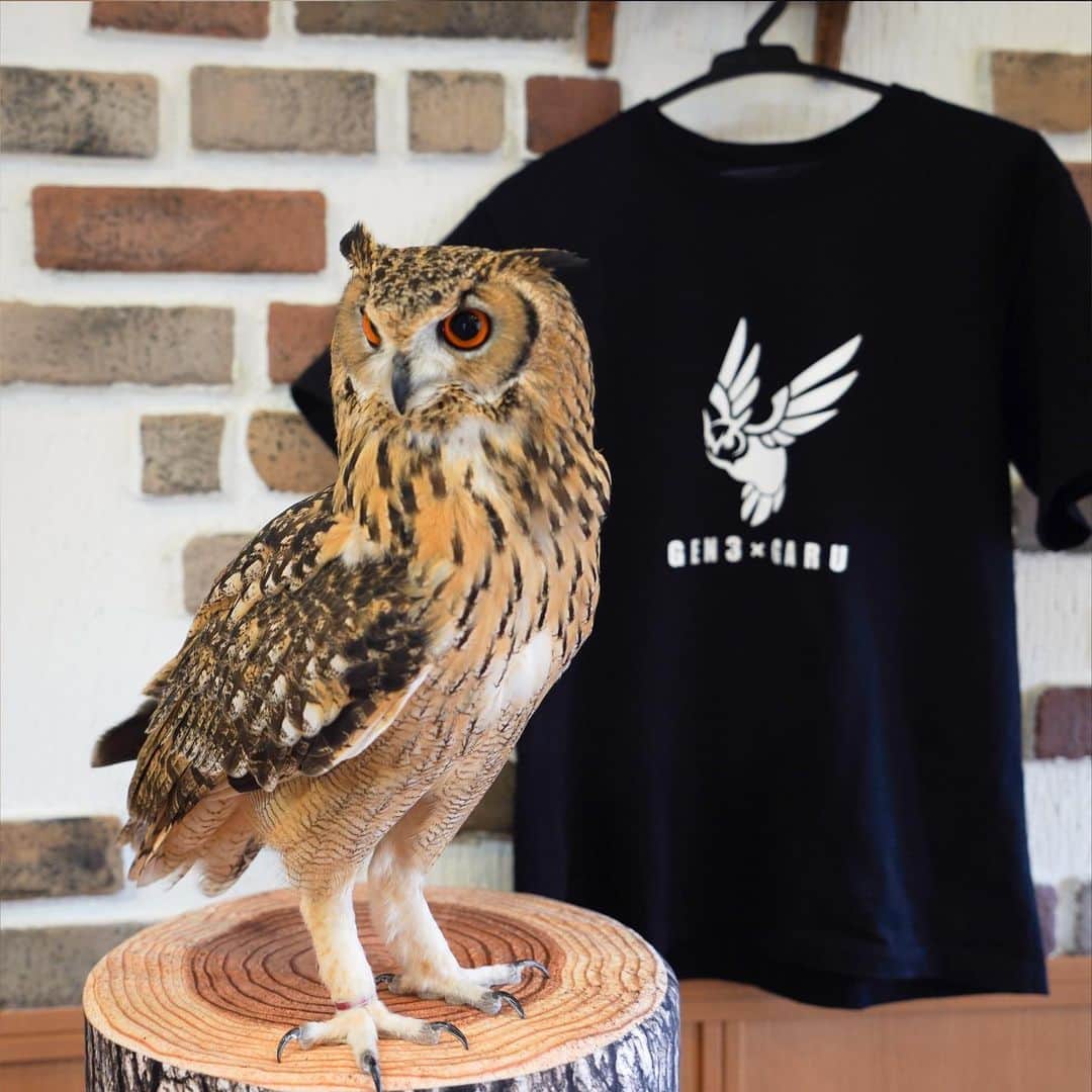 GEN3 Owlのインスタグラム：「人気のワンポイントTシャツ。 こちらはコットン100%素材です。 生地がしっかりとしているので、夏は汗をしっかり吸収してくれますし、冬も上に厚めのジャケットやダウンを着れば十分普段使いできますよ。 詳細はストーリーからスワイプアップもしくはYouTubeを見てね。  >>>>>> This T-shirt is so popular now. This is a 100% cotton material.  The quality of the fabric is good enough to absorb sweat in the summer, and in the winter you can wear a jacket or down on top for everyday use. For more information, swipe up from the story or watch YouTube.  #owl #owlgaru #フクロウ」