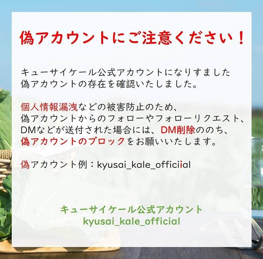 kyusai_kale_officialのインスタグラム