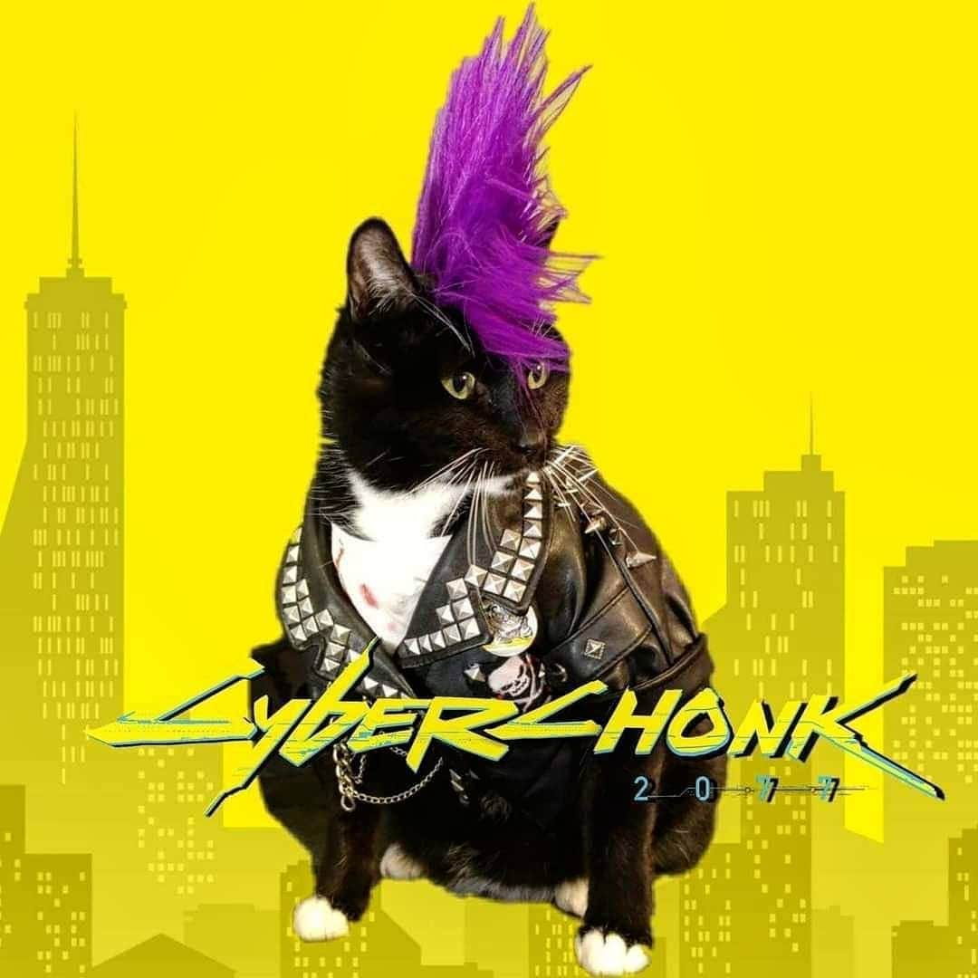 猫コスプレさんのインスタグラム写真 - (猫コスプレInstagram)「Anyone know who did this great edit of Fawkes?   #CyberChonk . . . . . #chonk #punk #cat」12月16日 3時46分 - cat_cosplay