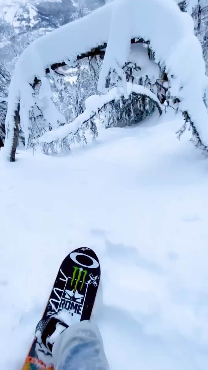 ステール・サンドベックのインスタグラム：「Today was sweet💨」