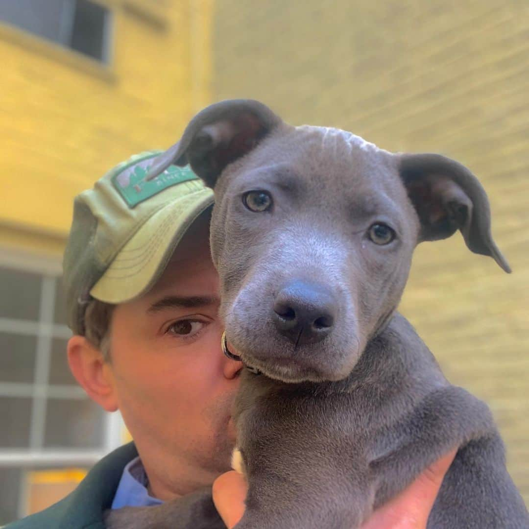 アンドリュー・ラネルズさんのインスタグラム写真 - (アンドリュー・ラネルズInstagram)「I got to meet this beauty the other day. I mean.... #BirdietheDog @c.adams.nyc」12月16日 5時39分 - andrewrannells