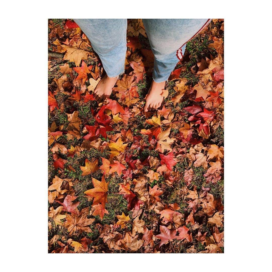 中井ノエミのインスタグラム：「🦔🍄Crunch crunch🍄🦔 . . .  #lensbible #roamtheplanet #stayandwander #voyaged #landscape #wanderlust #hellofrom #artofvisuals #japan #asia #wanderlust #instagramjapan #team_jp_ #nomad #mountains #folksouls #artofvisuals #folkscenery #autumn #youth #dusktildawn #dreamers #autumncolors #naturelovers #autumnvibes🍁 #barefoot」