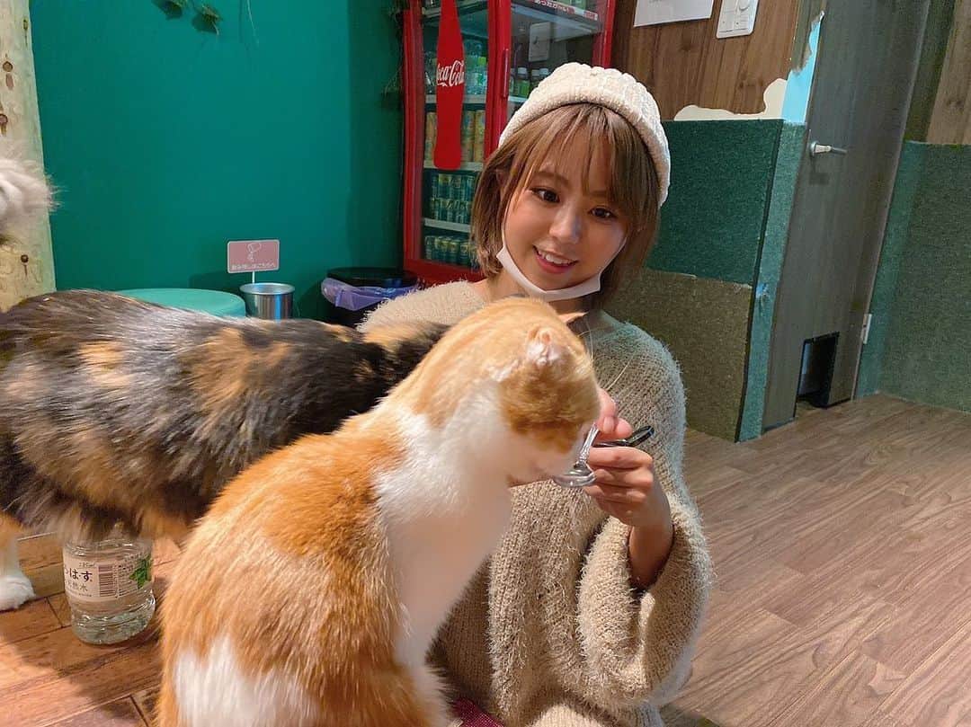 亜矢みつき（神谷充希）さんのインスタグラム写真 - (亜矢みつき（神谷充希）Instagram)「ヌコ様、、😽✨ (4〜6枚目の茶色い子の癖↓) #中身おっさん #猫 #cat #猫になったんだよな君は」12月16日 7時47分 - ma.yamitsuki