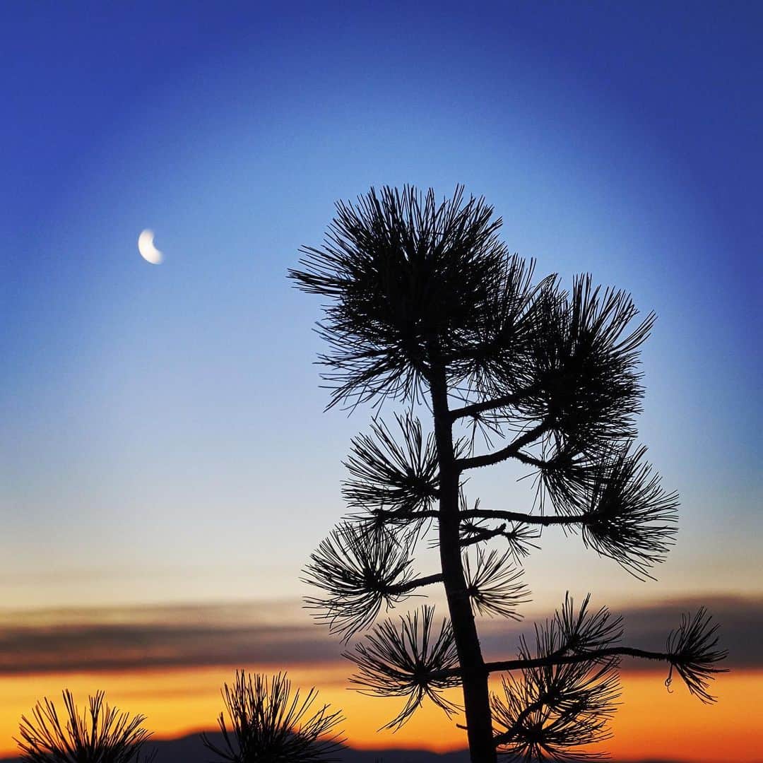 thephotosocietyさんのインスタグラム写真 - (thephotosocietyInstagram)「Photo by Ira Block @irablockphoto // Sunset and a crescent moon at Bryce Canyon National Park, Utah.  As a photographer you always see the world in frames. Sometimes, experiencing the moment triumphs capturing it. But for me, it has always been, capturing it first for posterity and then experiencing it. In the current state of the world, it’s always good to take a breather, observe the beauty around you and experience it. #sunset #crescentmoon #utah #landscape #nightsky #irablock」12月16日 8時03分 - thephotosociety