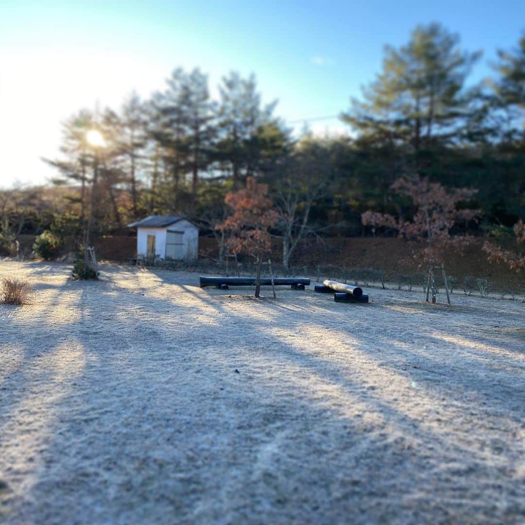 岡田美里さんのインスタグラム写真 - (岡田美里Instagram)「氷点下  #標高1000mの暮らし」12月16日 7時57分 - millieokada