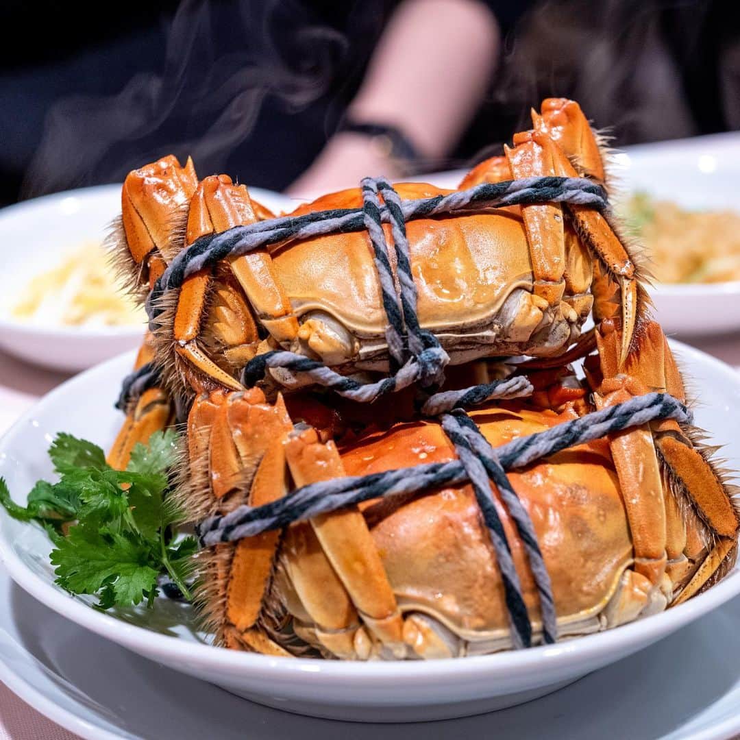 武井義明のグルメインスタ