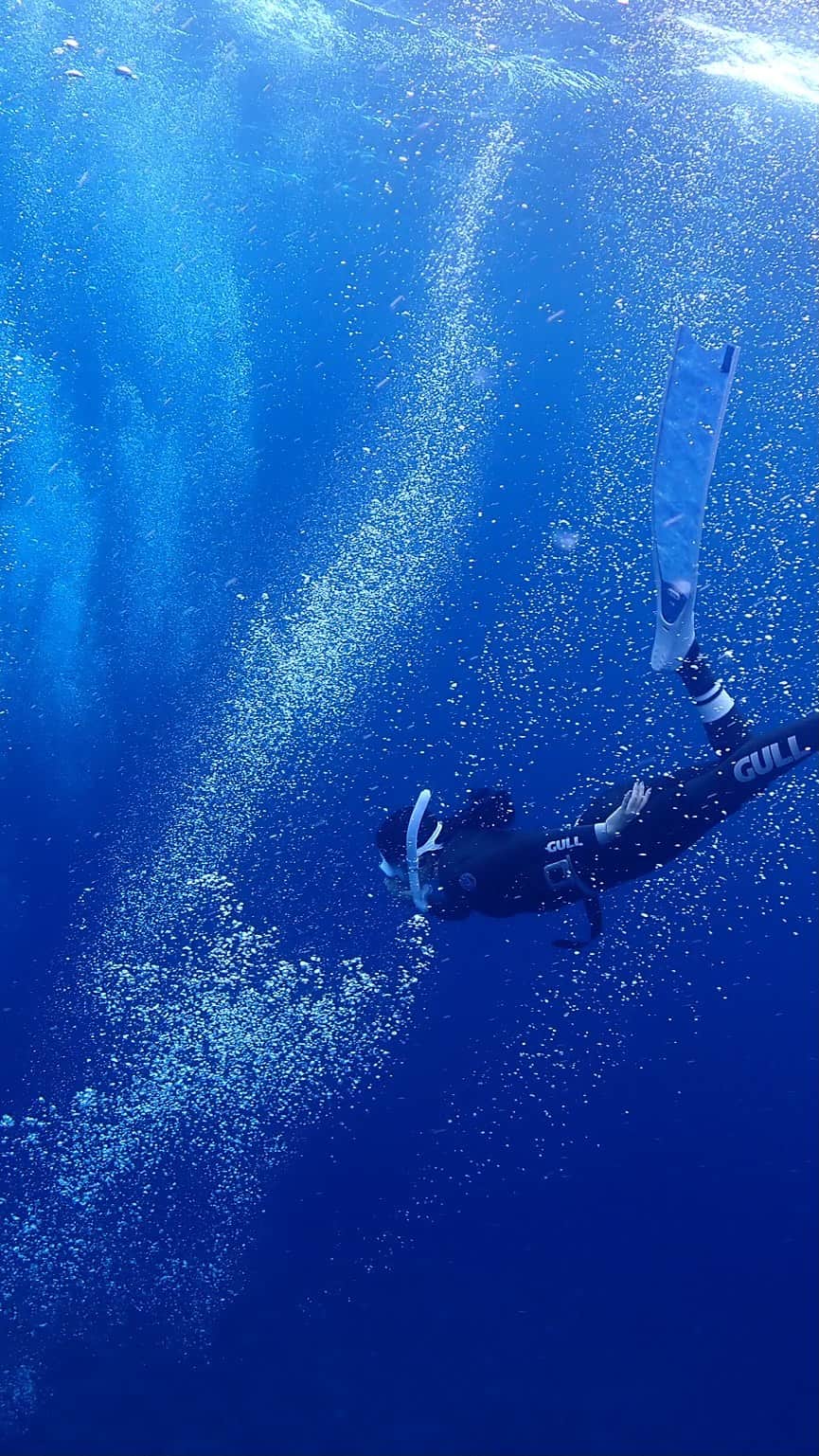 LuCyCoのインスタグラム：「うお座の神話♓️  海の泡から生まれた愛と美の女神アフロディーテ(英語ではヴィーナス)と、その息子エロースの親子愛の物語。  #運瀬 #慶良間 #慶良間ダイビング #スキンダイビング  #ダイビング #海 #skindiving  #skindiver  #longfins  #leaderfins  #oceanlife  #ダイアモンド #海の泡 #underwaterphotography  #underwaterworld  #mermaidlife  #sea #underwaterphoto  #beachgirls  #素潜り女子  #海仲間募集中🙋🏽🙆🏾🙆🏼🙆🏾🙋🏽  #海好きな人と繋がりたい」