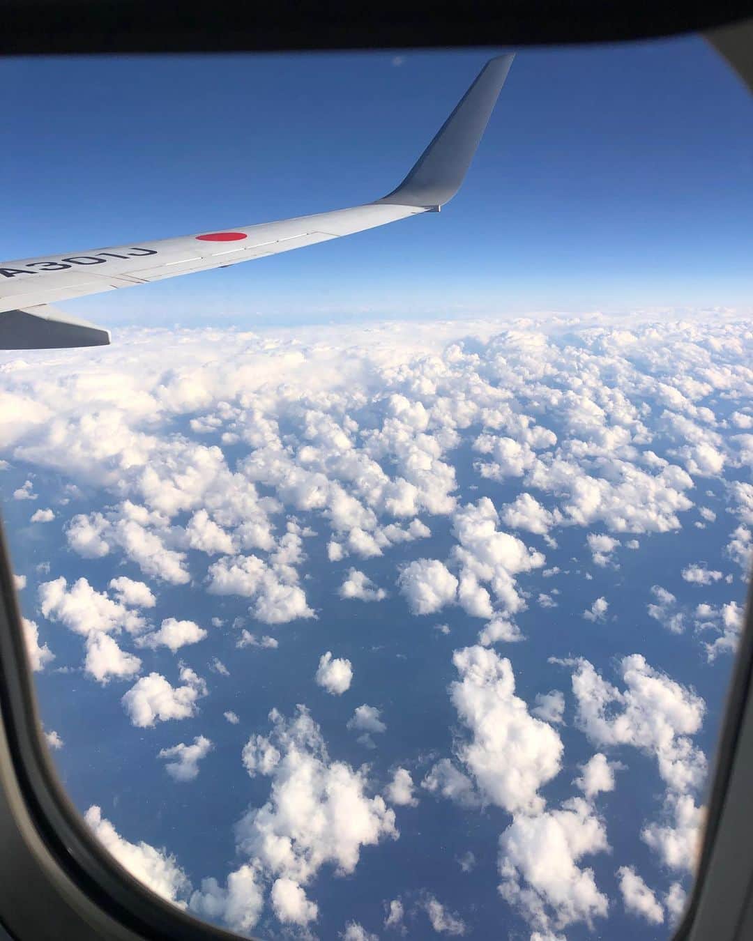 hoshinofumikaのインスタグラム：「雲の上はいつでも 晴れ❄️😍💓✈︎ 急遽大好きな飛行機乗って TOP TO BOTTOMしてくる！笑 . . . .  #snowboarding #snowboard #snow #winter #japan #ootd #スノーボード #スノボ #スノボー #スノボ女子 #スノボ好きな人と繋がりたい #冬 #スキー場 #スキー #飛行機 #✈︎ #トリップ #空 #飛行機からの景色 #instaview #bluebird」