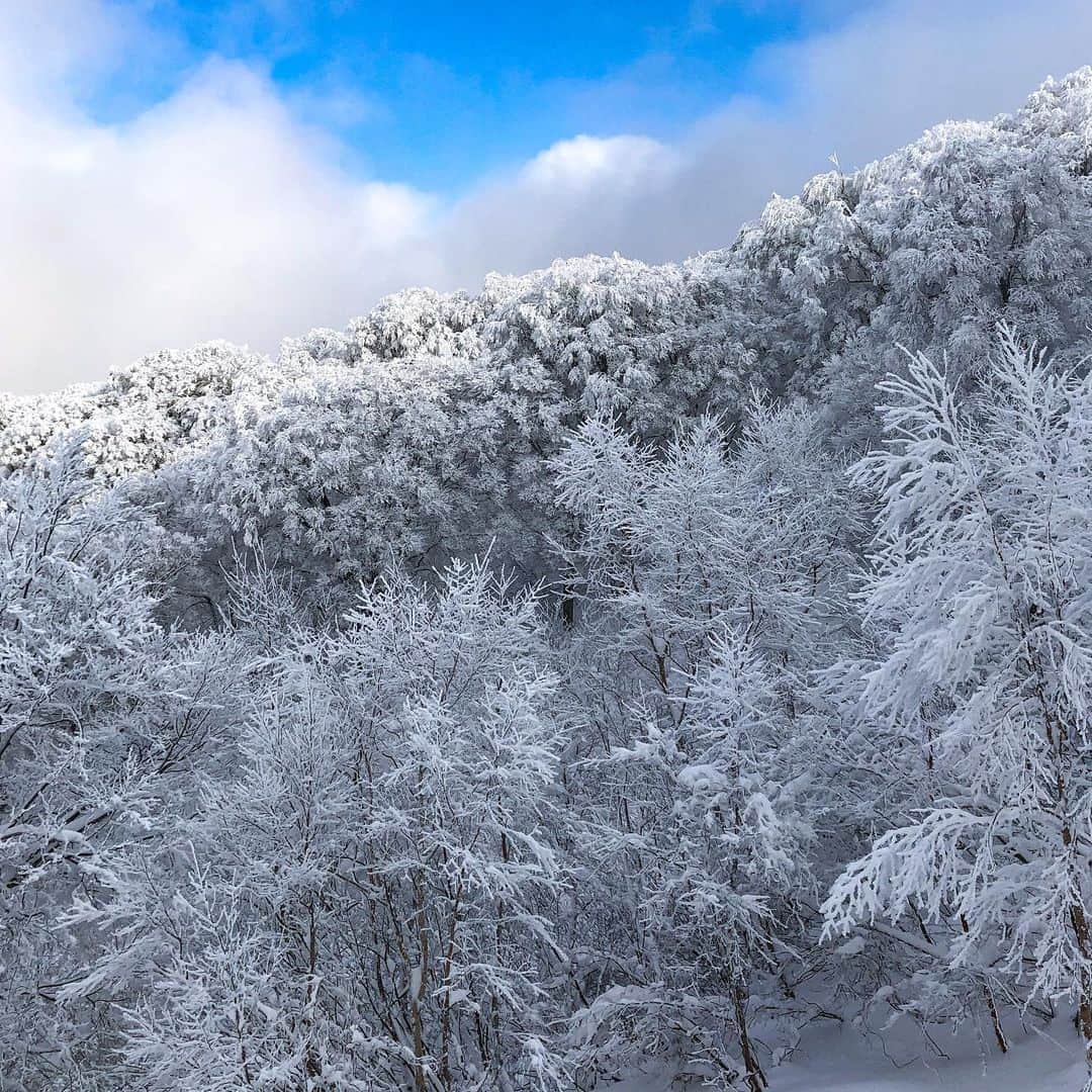 玉木宏のインスタグラム：「#雪　#待っとれよ　#今すぐ行きたいけどな #snowscoot」