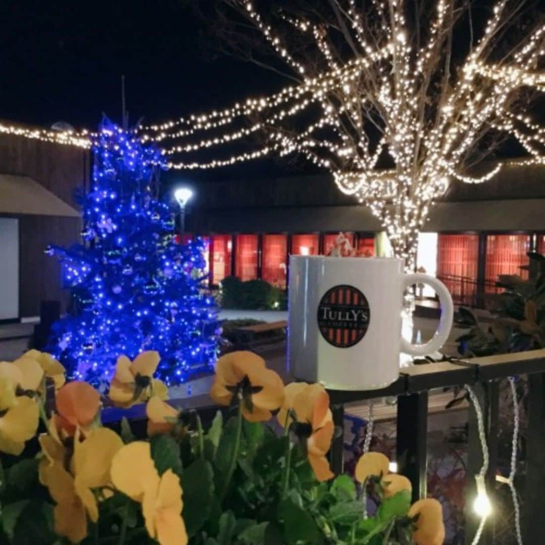 吹田グリーンプレイス公式さんのインスタグラム写真 - (吹田グリーンプレイス公式Instagram)「【タリーズコーヒーウィズユー】 《イルミネーションの特等席あります♪》 こんにちは！  タリーズコーヒーの目の前に...... なんと.....  クリスマスツリーが設置されました！！！  キラキラした街路樹とクリスマスツリーが、とても綺麗です。 今年は、イルミネーションのこともあまりニュースで見ることもなく、寂しいですよね。  タリーズコーヒーでは、座りながらイルミネーションやツリーを楽しむことができるテラス席があります！！！  ぜひ一度、夜のタリーズコーヒーにお越し下さい！！ #吹田グリーンプレイス#グリーンプレイス#吹田#吹田グルメ#吹田ランチ#おなか吹田市#こどものいる暮らし#こどもとおでかけ#タリーズコーヒーウィズユー#タリーズコーヒー#TULLYSCOFFEE#TULLYSCOFFEEWITHYOU#テイクアウト#コーヒー豆#コーヒー#クリスマスツリー#テラス席」12月16日 10時34分 - suita_greenplace