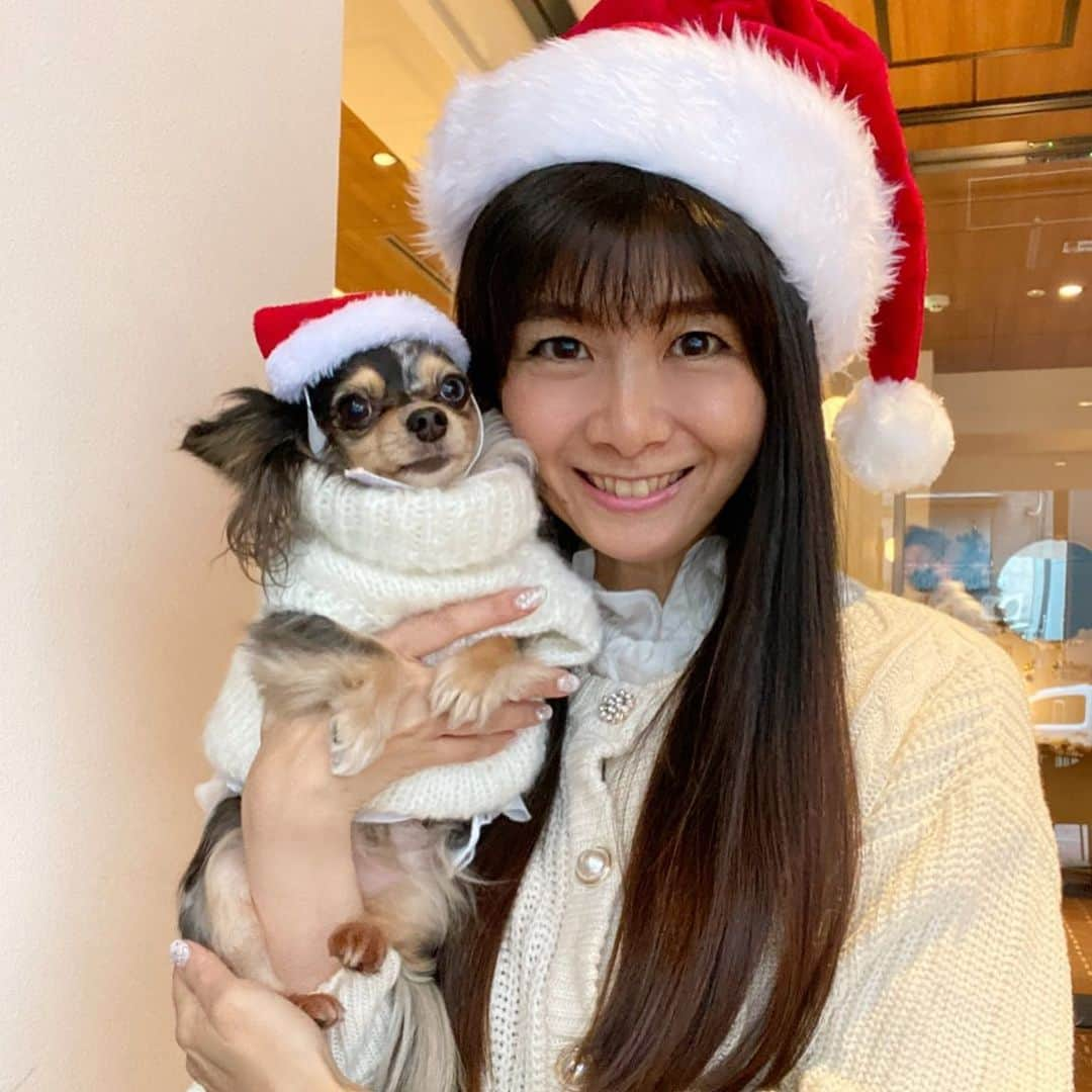 外村美姫さんのインスタグラム写真 - (外村美姫Instagram)「🎄メリークリスマス🎄親子サンタだよ🎅 ティファニーと朝食を。リピート利用❤️ブログは同時更新❤️ストーリーズからも飛べます❤️ . #外村美姫 #チワックス #チワックスティファニー #ティファニーと朝食を #しまむらコーデ #プチプラコーデ #今日のコーデ #しまむら購入品 #しまむら‬ #チワックス #ティファニー #ティファニーブルー #オッドアイ #Tiffany #チワックス倶楽部 #チワックス部 #Chihuachshund #いぬすたぐらむ #ミックス犬 #anoddeyeddog #ワンコなしでは生きて行けません会 #dogstagram #instadogs  #IMPRESTCAFE #aneacafe #hatchobori #店内犬ok #クリスマスコーデ」12月16日 21時45分 - mikitonomura