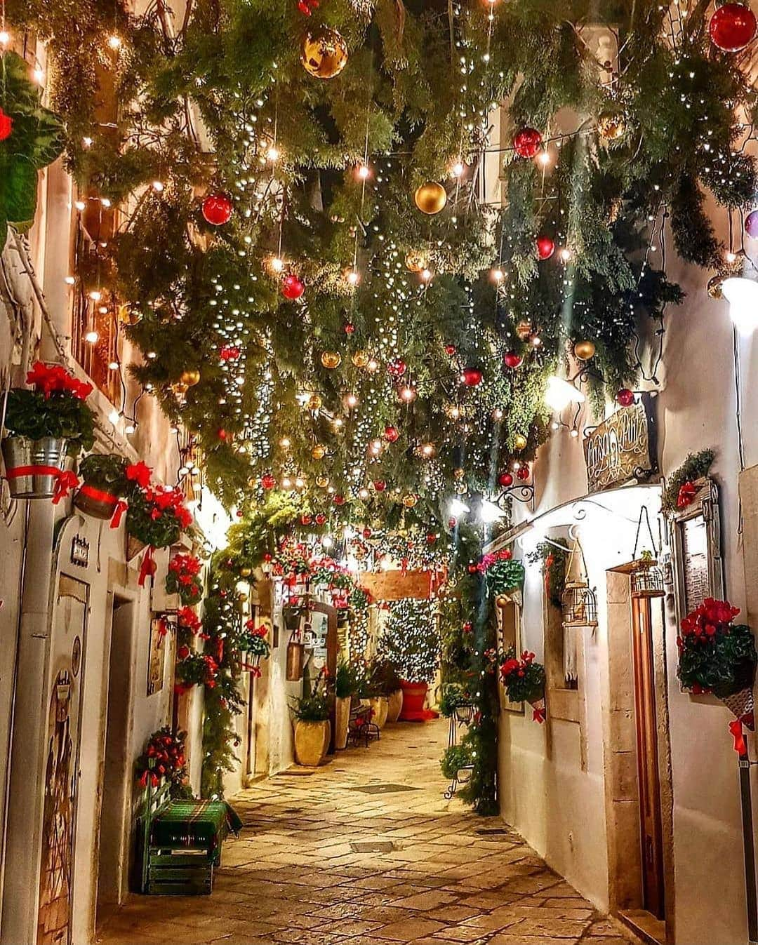 Padgramさんのインスタグラム写真 - (PadgramInstagram)「Christmas is in the air 🎄😍 Courtesy of @girasole_assolato 📍Locorotondo, Italy 🇮🇹 #pgdaily #pgstar #pgcounty #italy🇮🇹 #locorotondo #planetgo #planet #planetearth #amazing #awesome #europe #christmas #festival」12月16日 21時40分 - planet.go