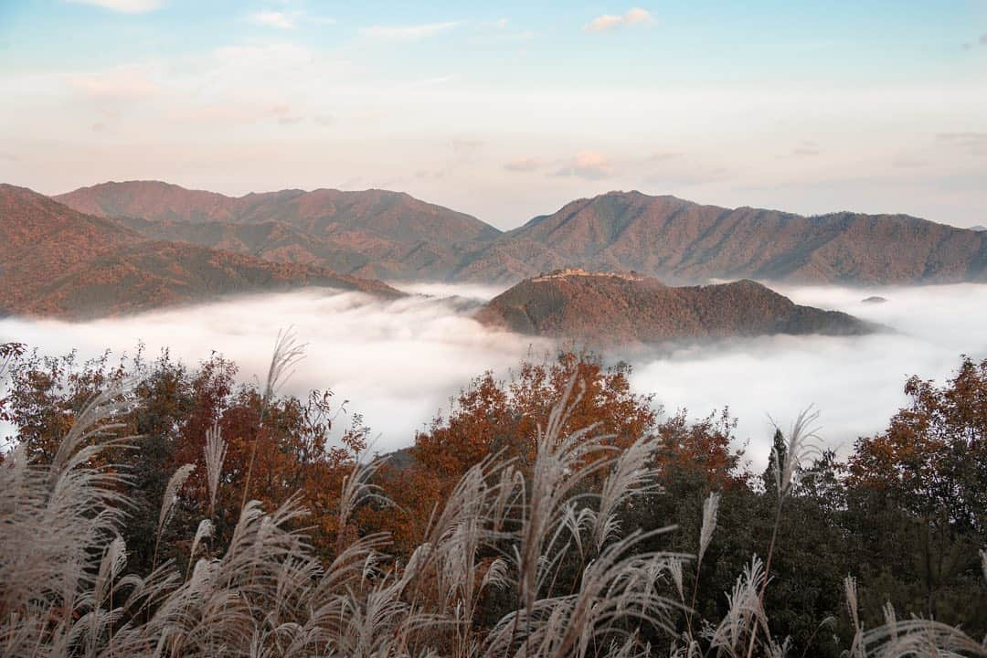 大越光貴のインスタグラム：「竹田城跡×雲海×秋  #2020autumn #autumninjapan #seaofclouds #japaneselandscape #japaneseautumn #love_hyogo #machupicchu #雲海 #朝焼け #竹田城 #竹田城跡 #紅葉狩り #紅葉2020 #紅葉ハンター #日本の絶景 #死ぬまでに行きたい日本の絶景 #絶景ハンター #ファインダー越しの私の世界」